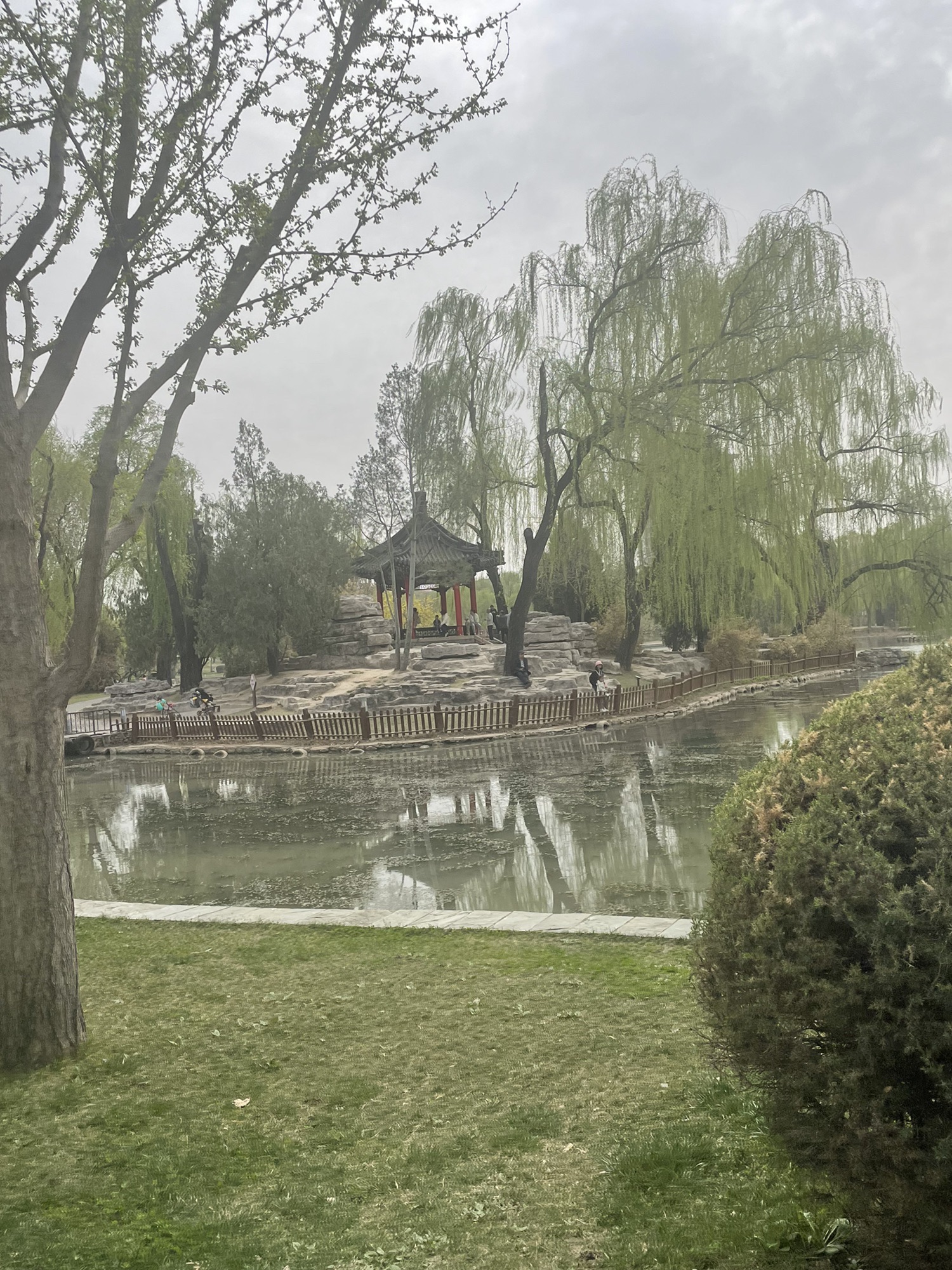 卧龙公园旅行图片 3