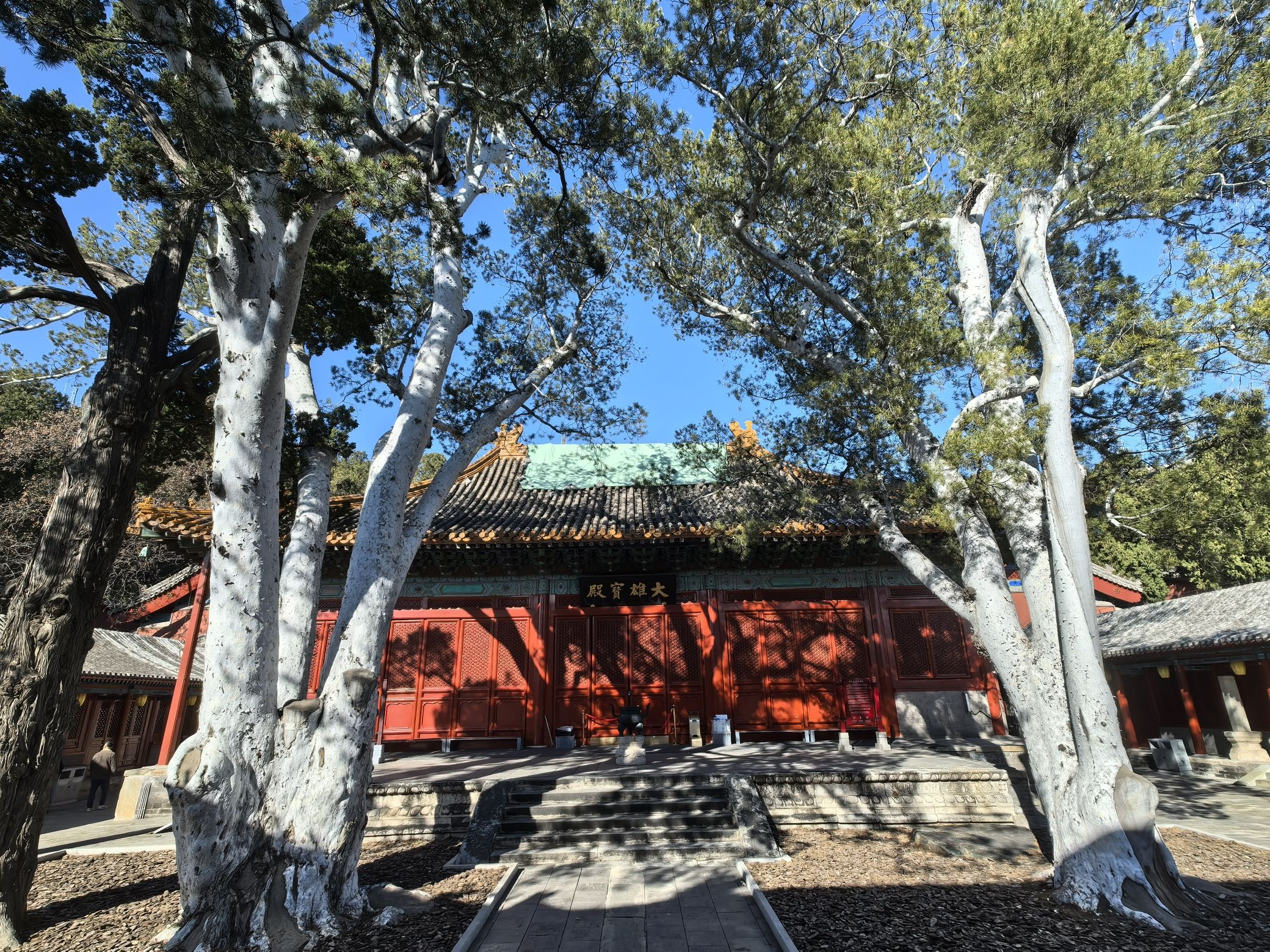 法海寺森林公园旅行图片 2
