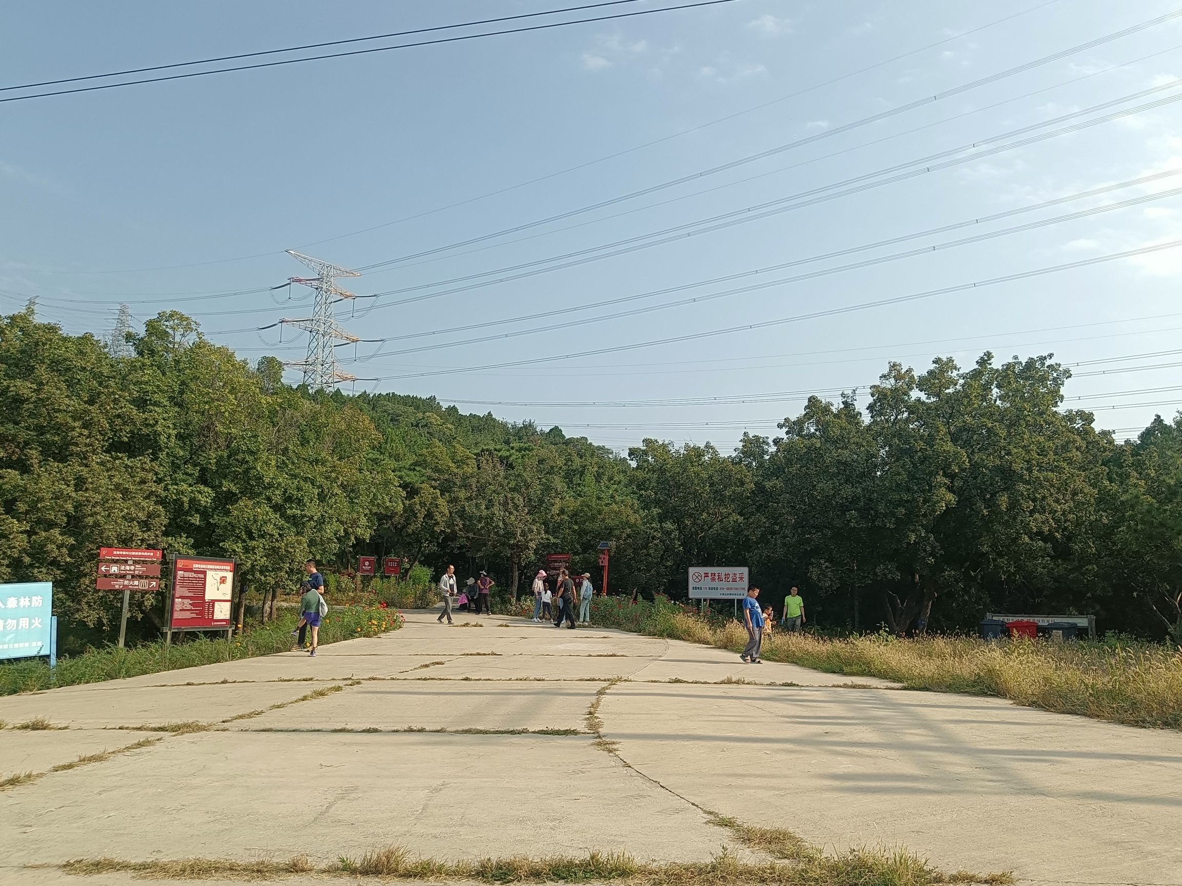 法海寺森林公园旅行图片 3
