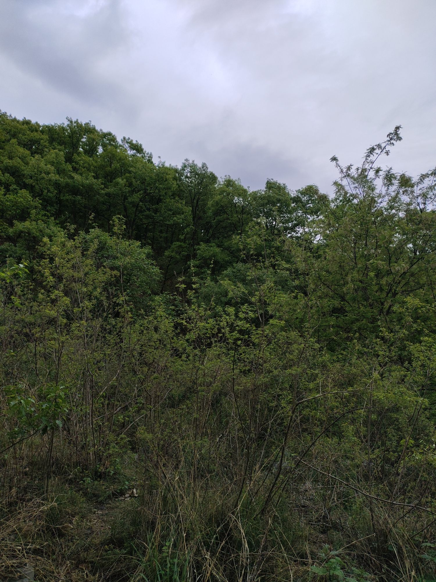 金陵遗址旅行图片 2