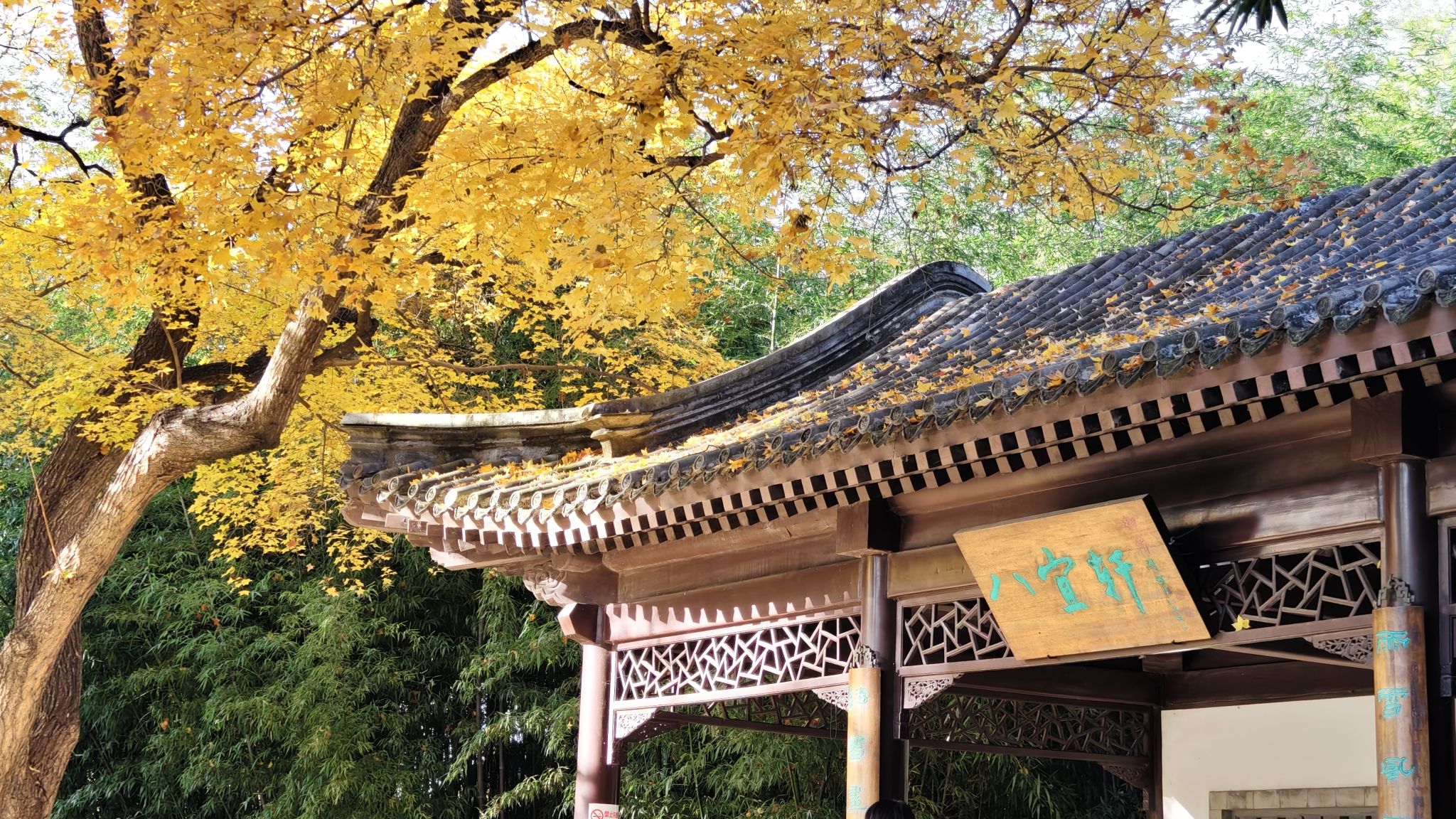 紫竹院公园旅行图片 3