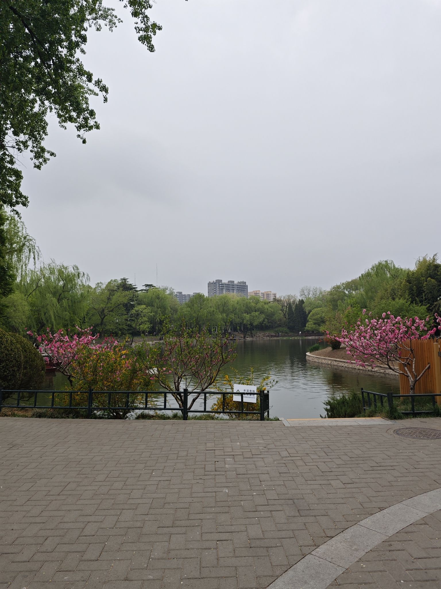 紫竹院公园旅行图片 3