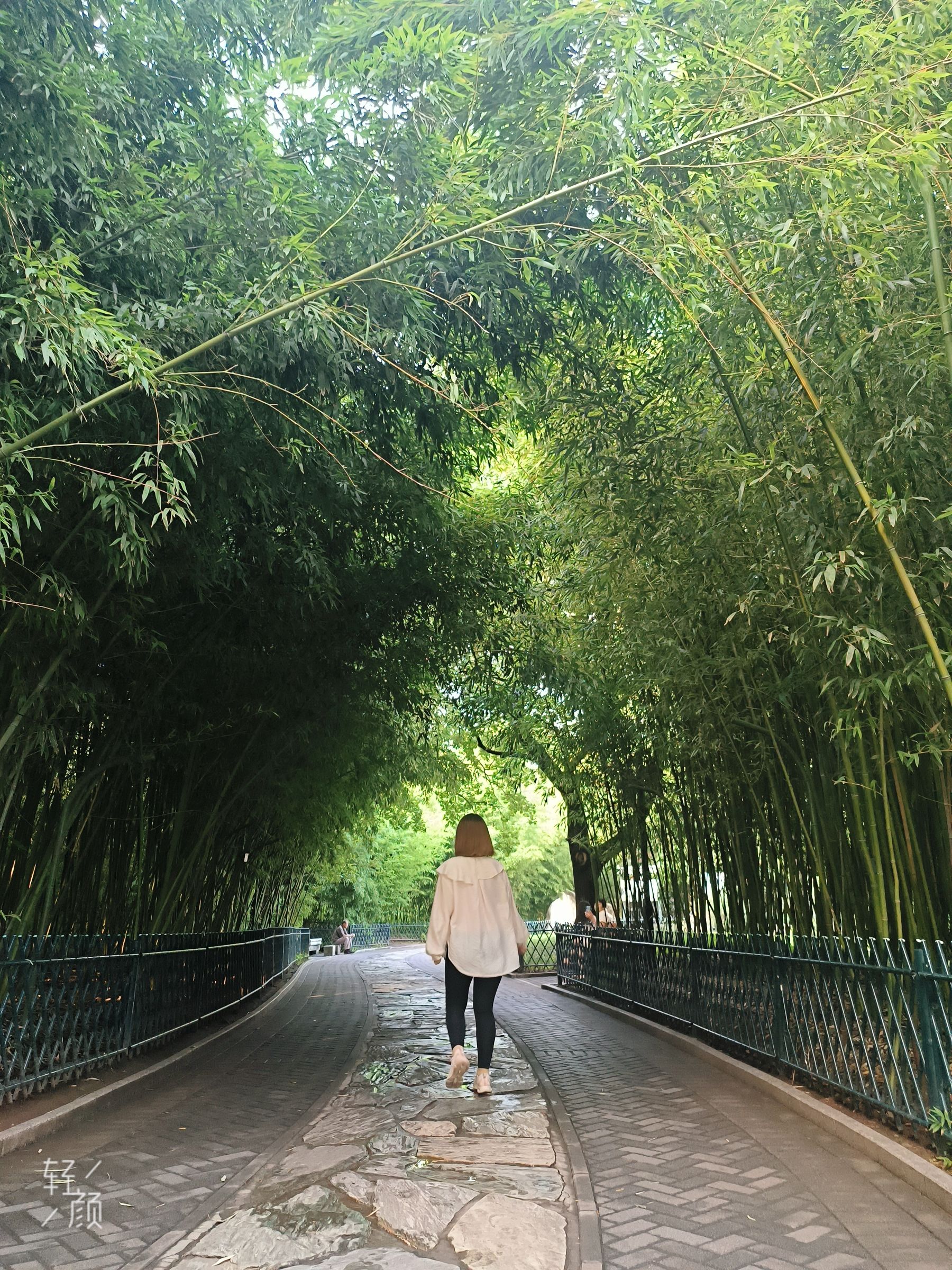 紫竹院公园旅行图片 2