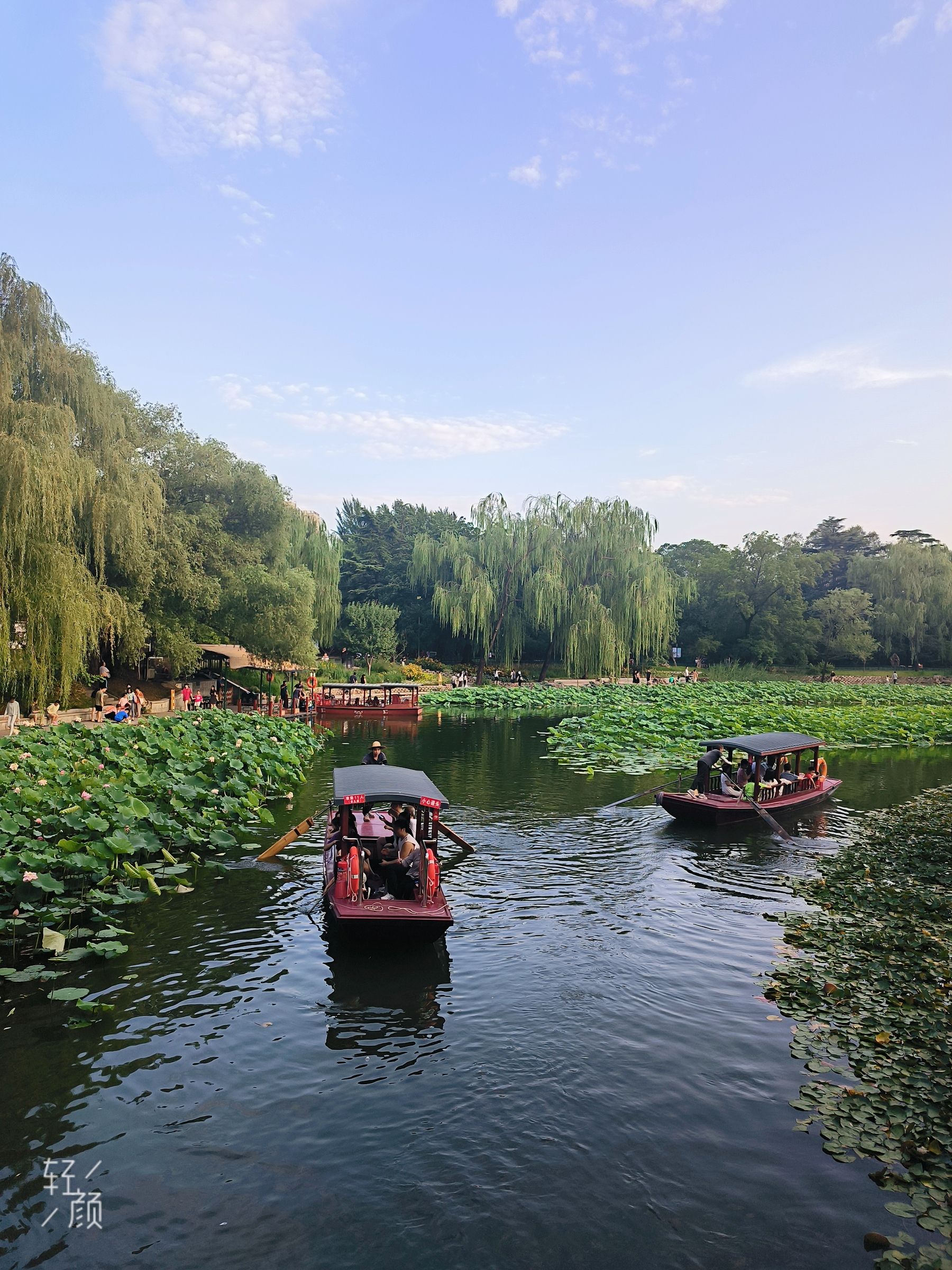 紫竹院公园旅行图片 1