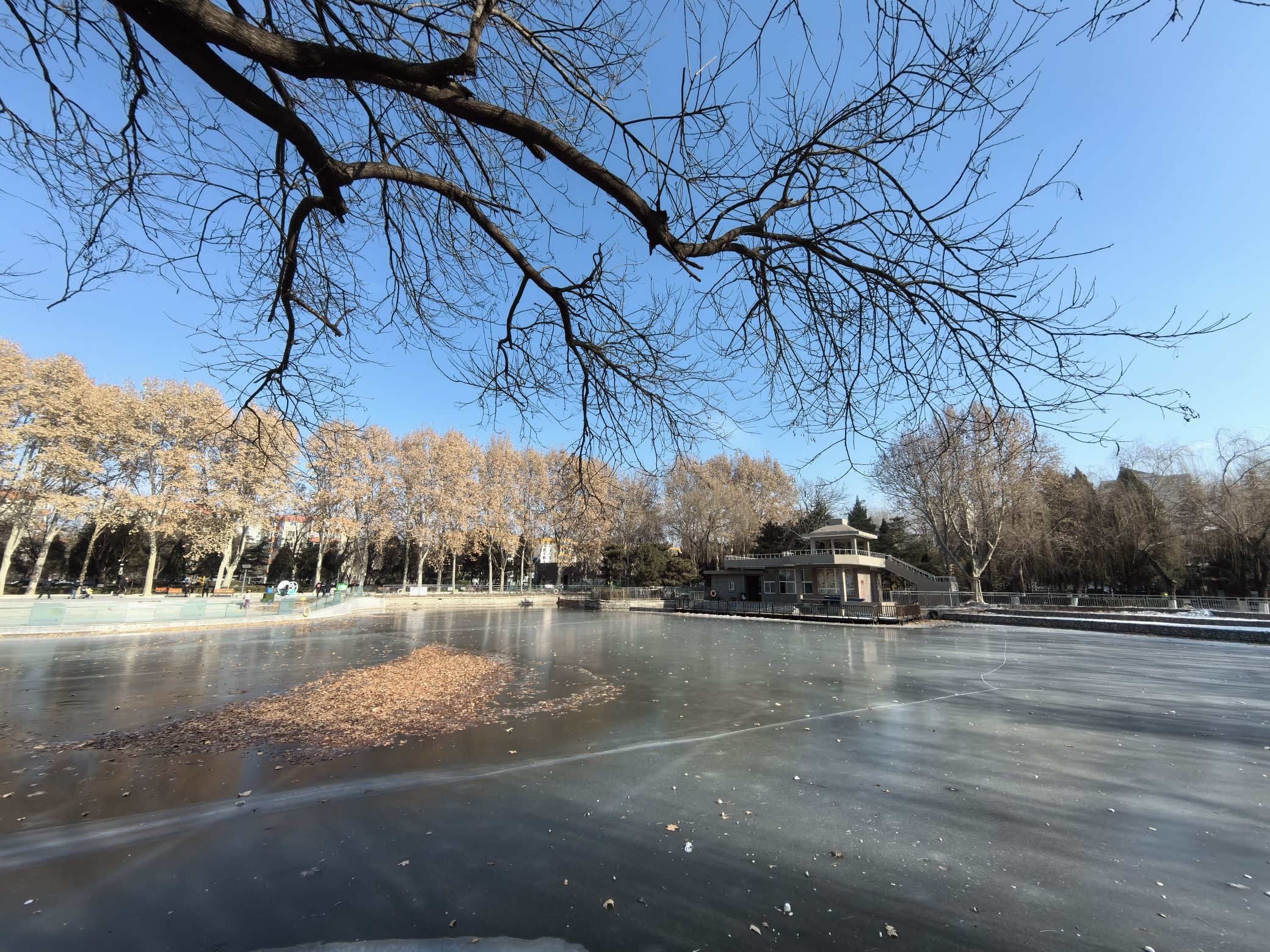 黄村公园旅行图片 3