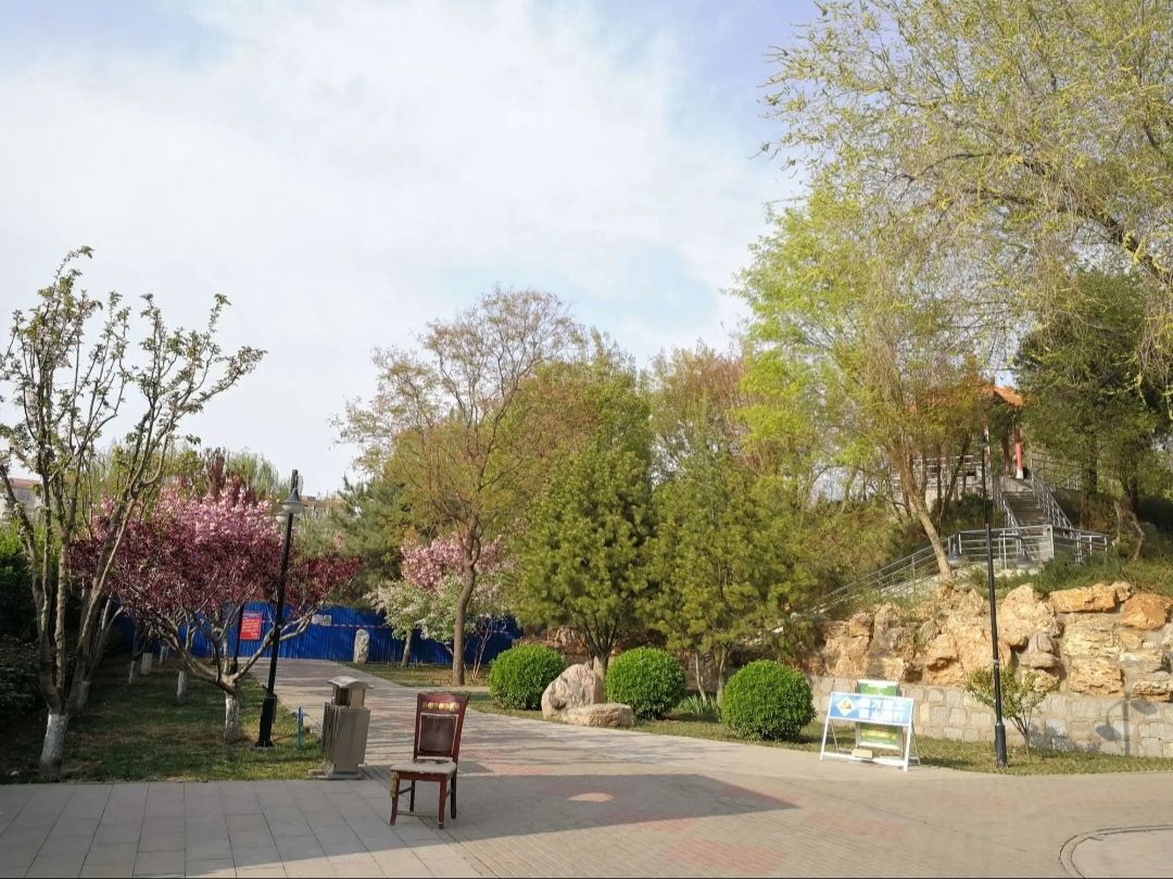 黄村公园旅行图片 2