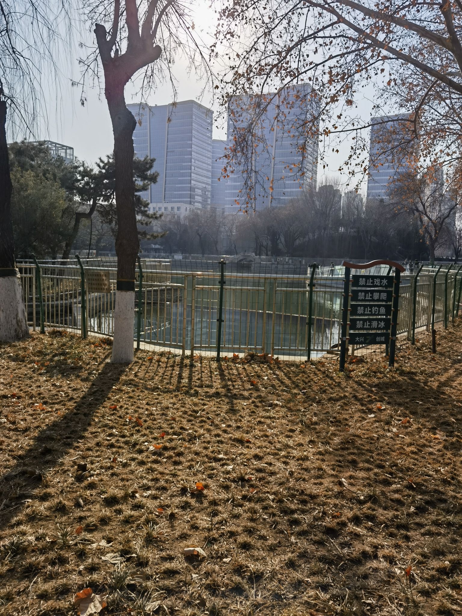 黄村公园旅行图片 2