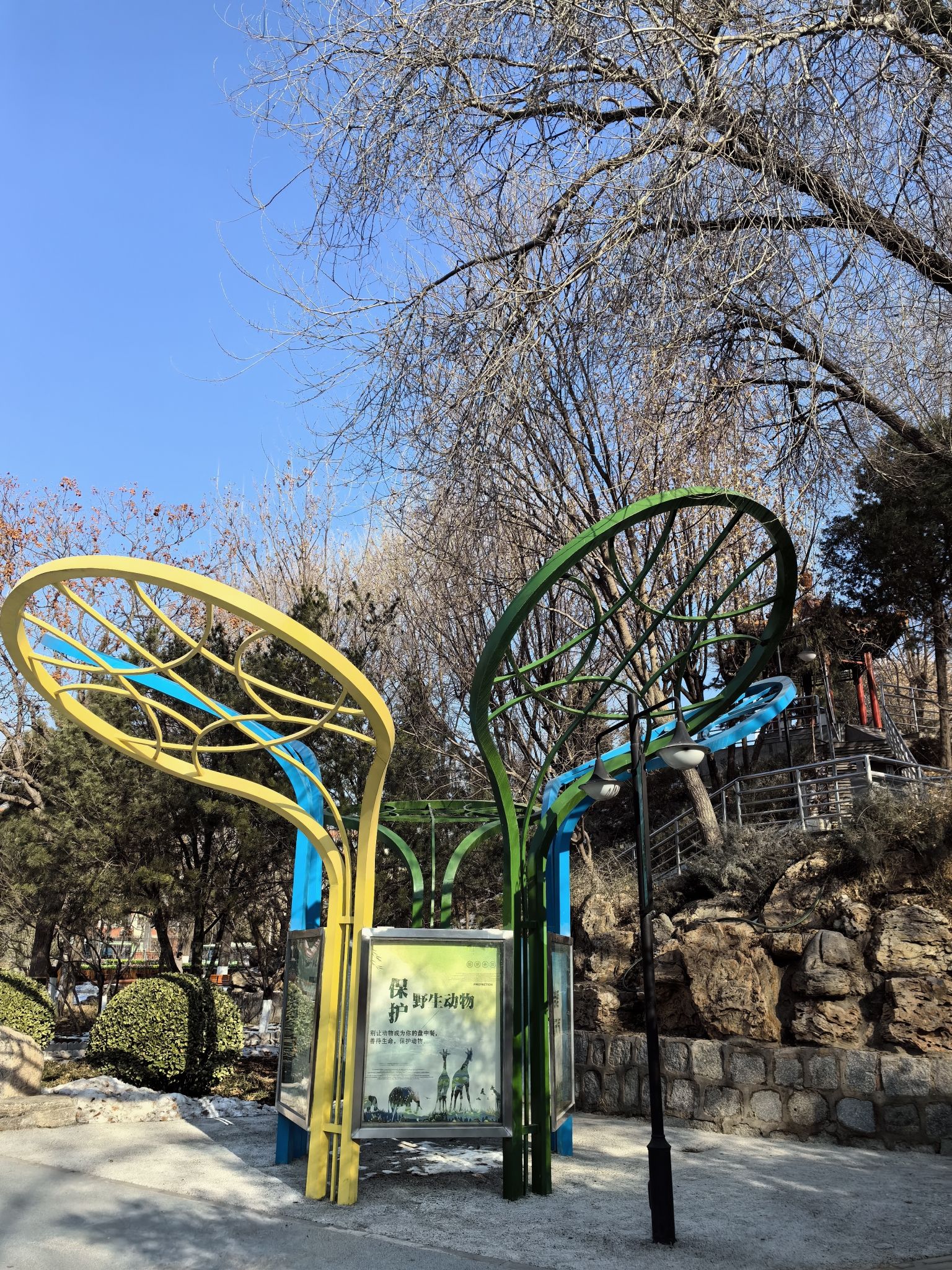 黄村公园旅行图片 2