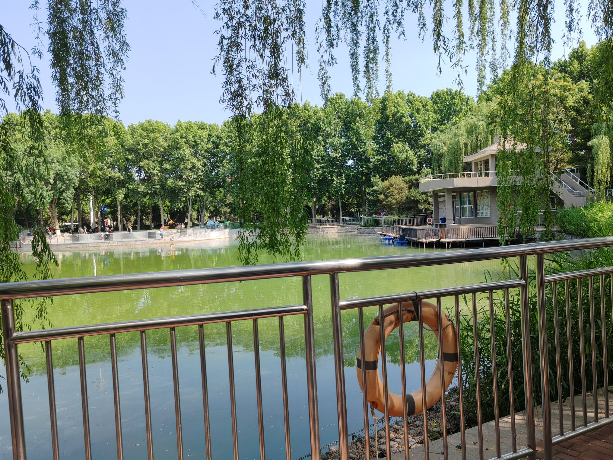 黄村公园旅行图片 2