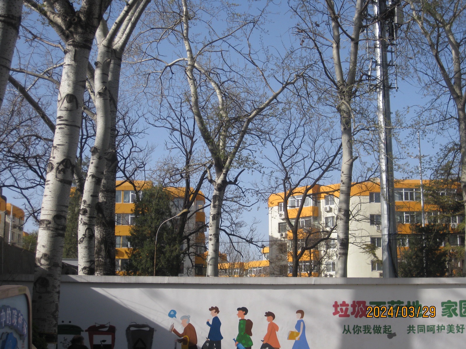 黄村公园旅行图片 3