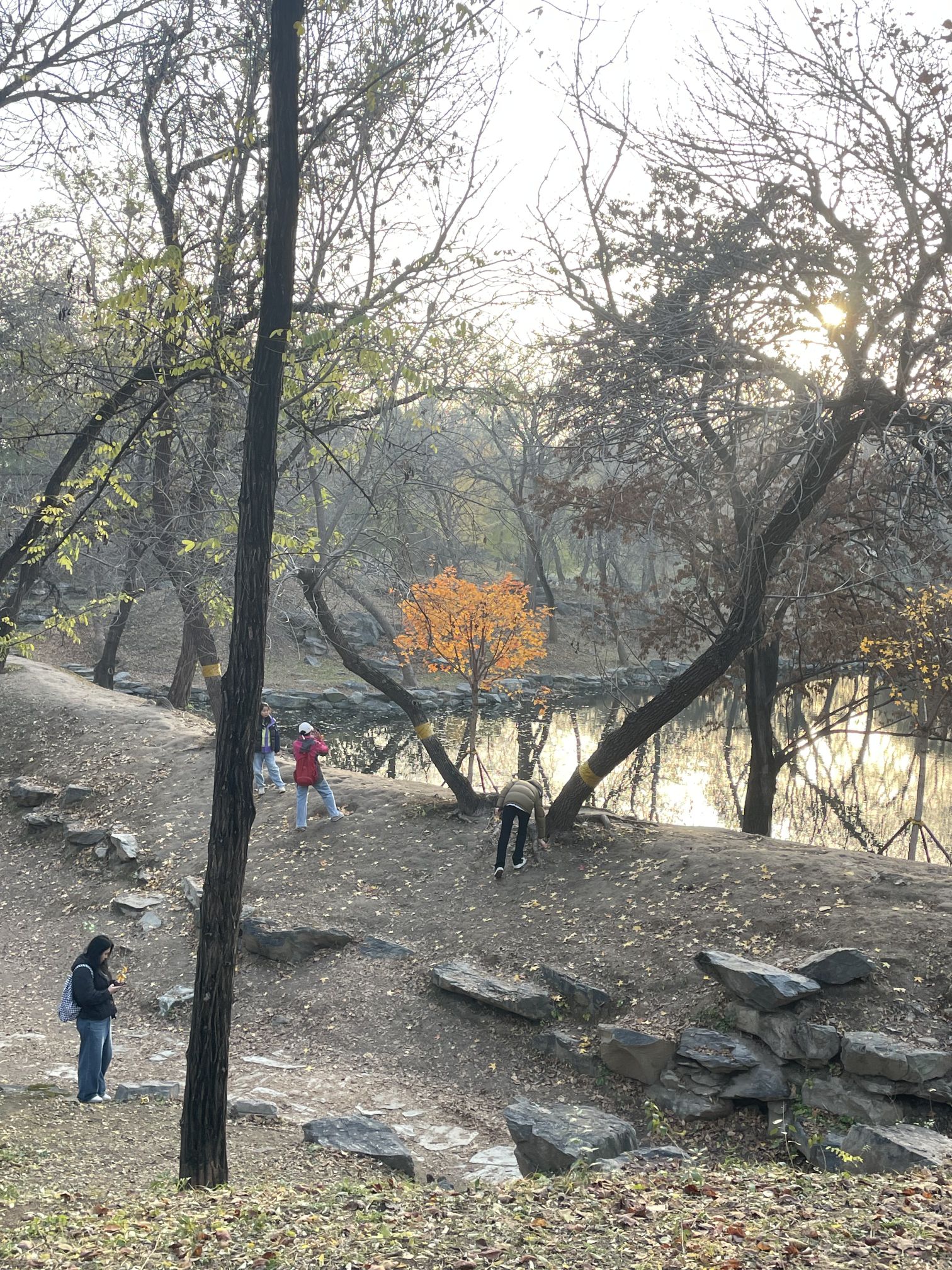 圆明园遗址公园旅行图片