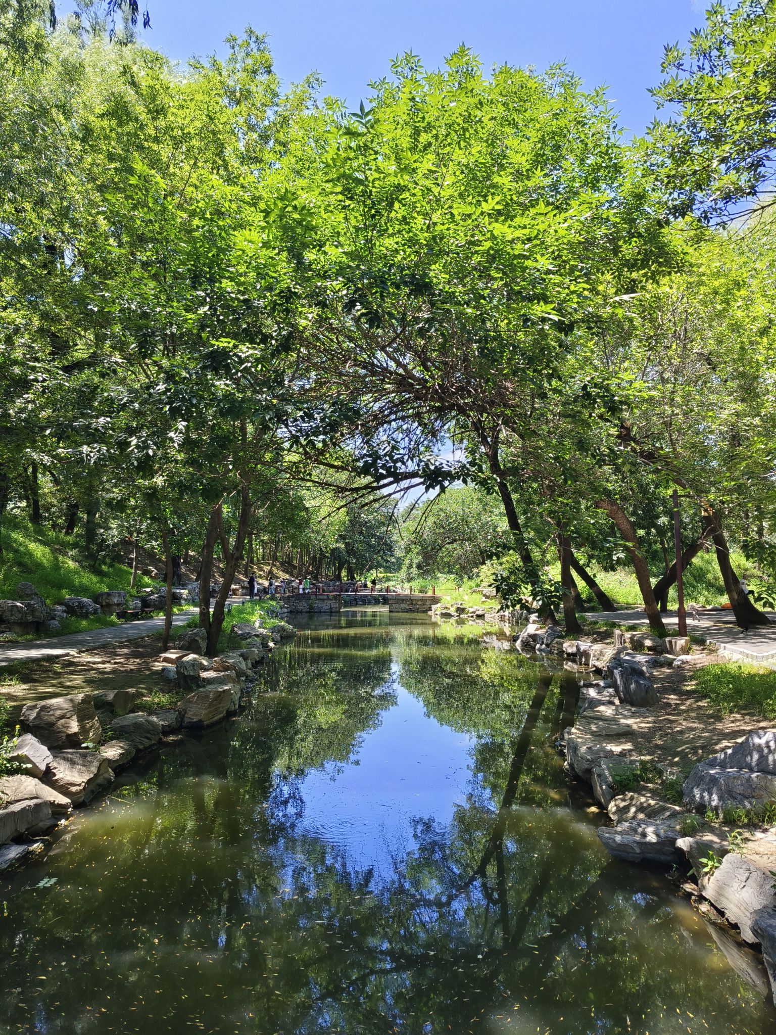 圆明园遗址公园旅行图片