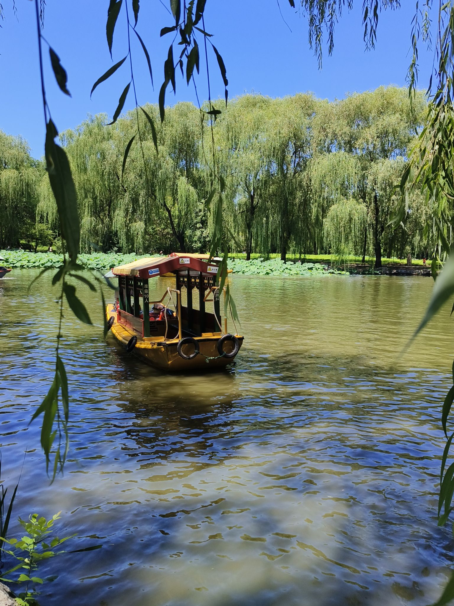 圆明园遗址公园旅行图片 2