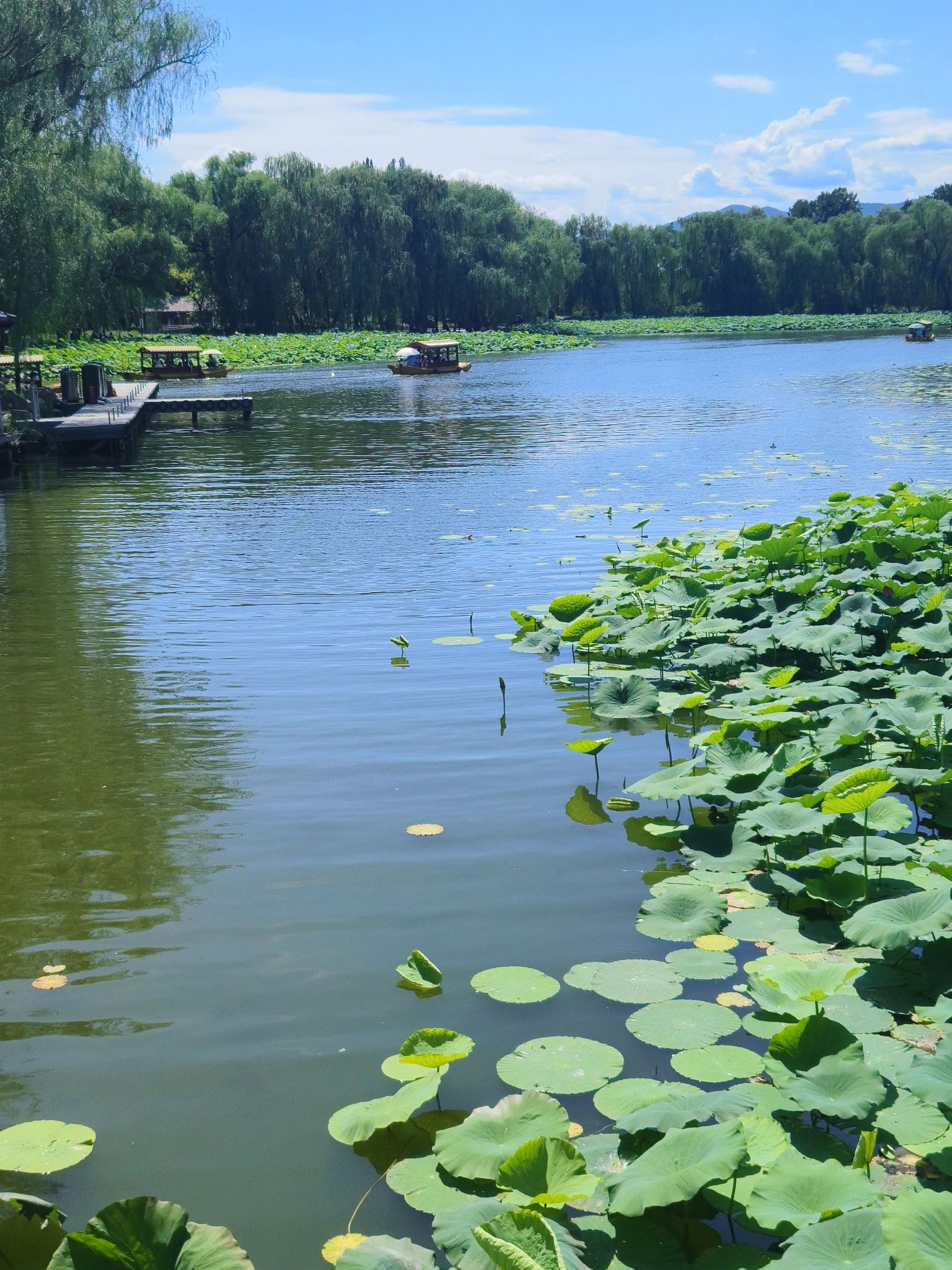 圆明园遗址公园旅行图片 3