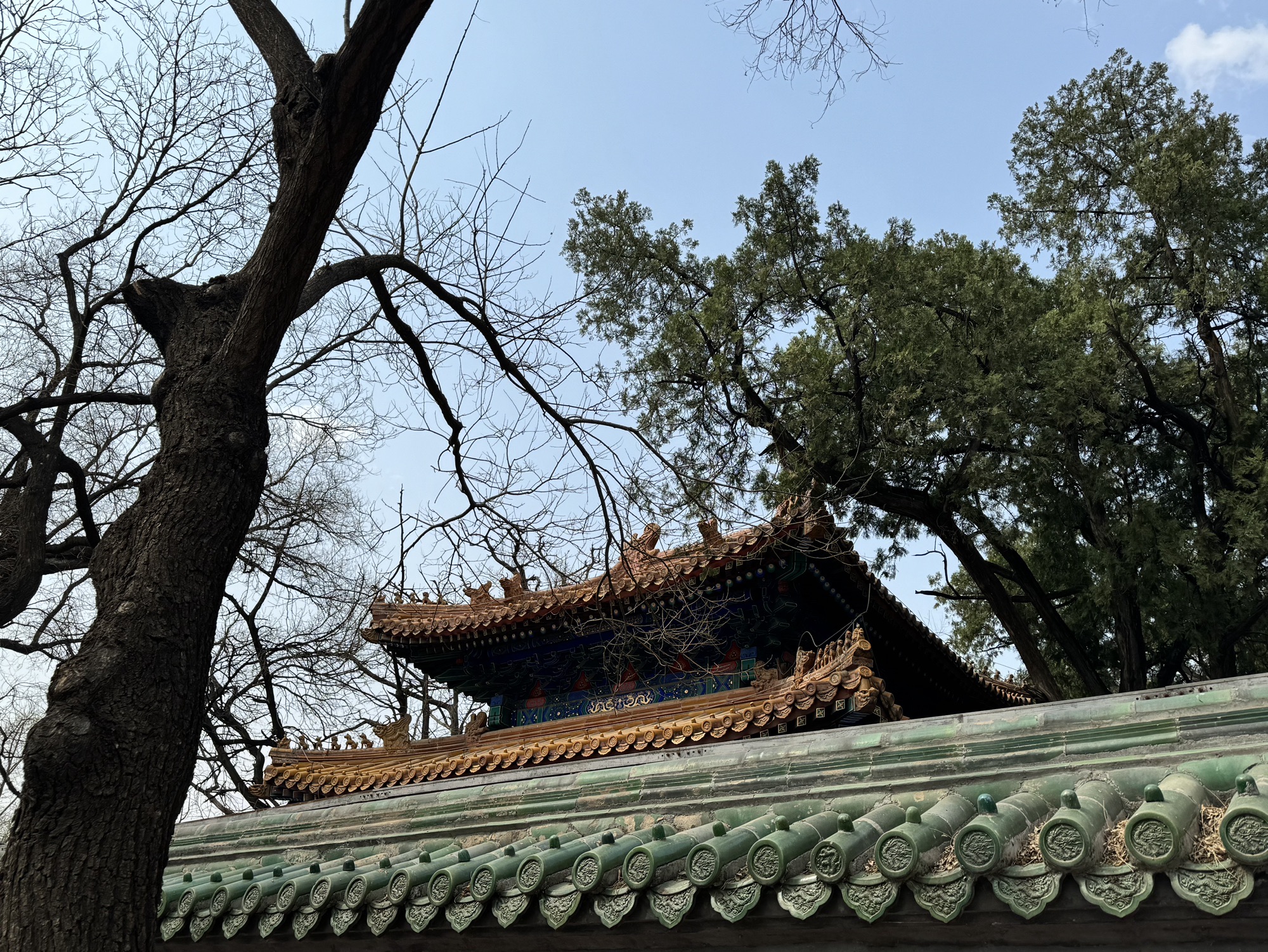 国子监旅行图片 3