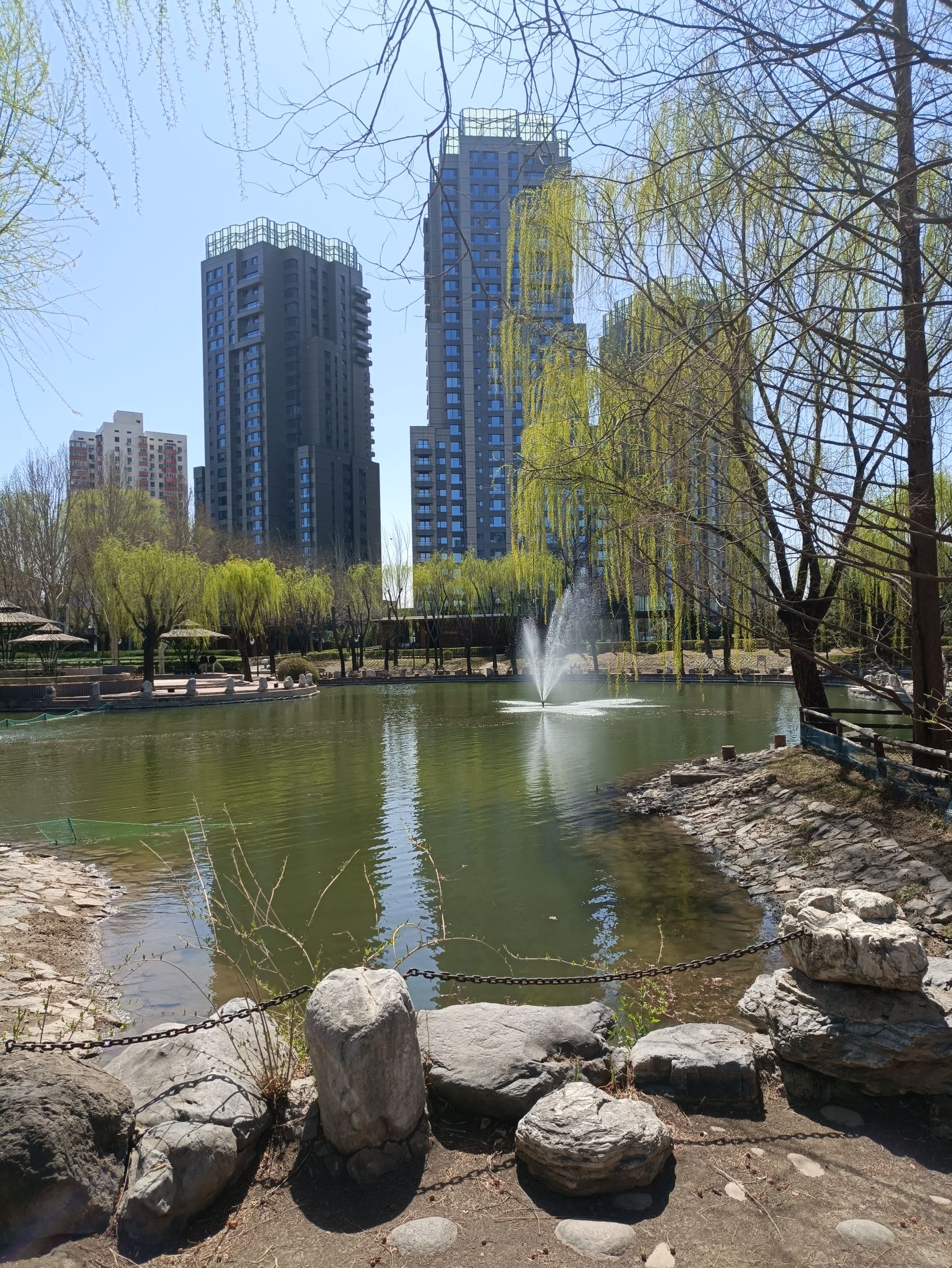 丽都花园旅行图片 3