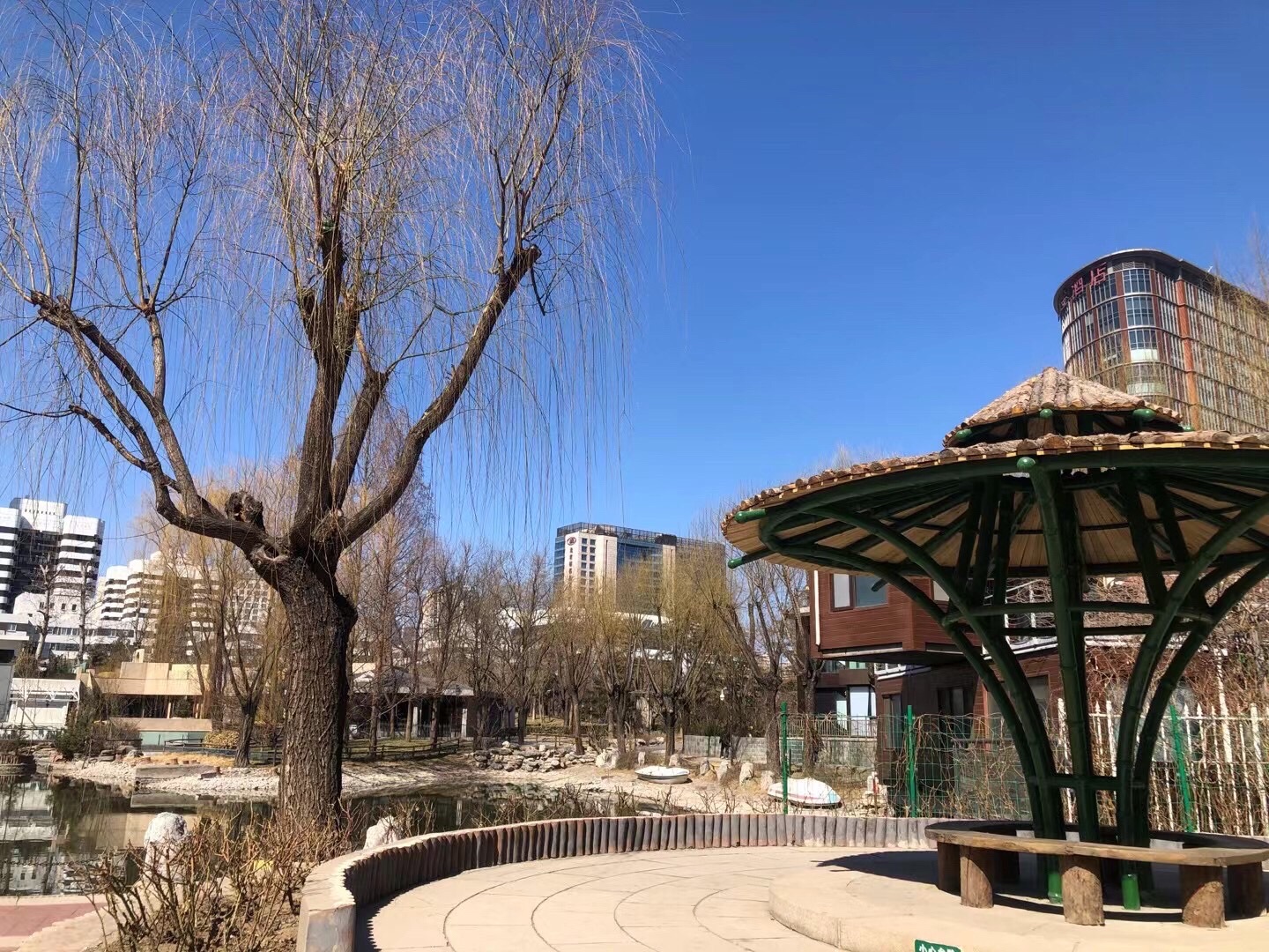丽都花园旅行图片 2