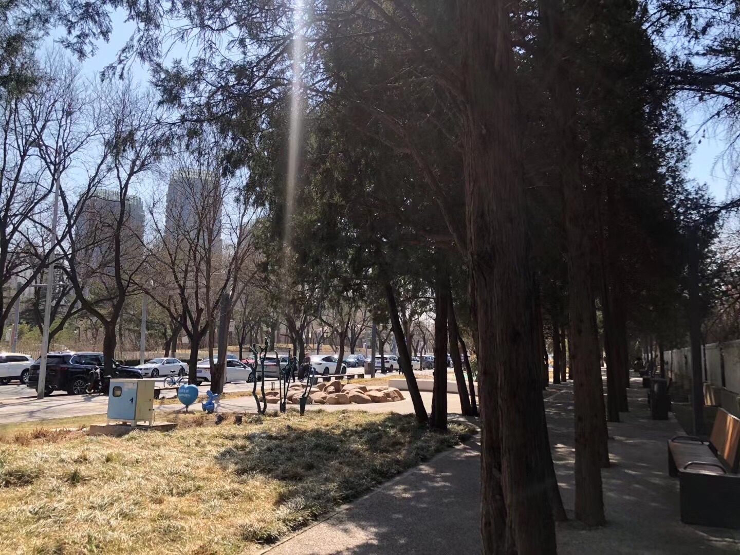 丽都花园旅行图片 3