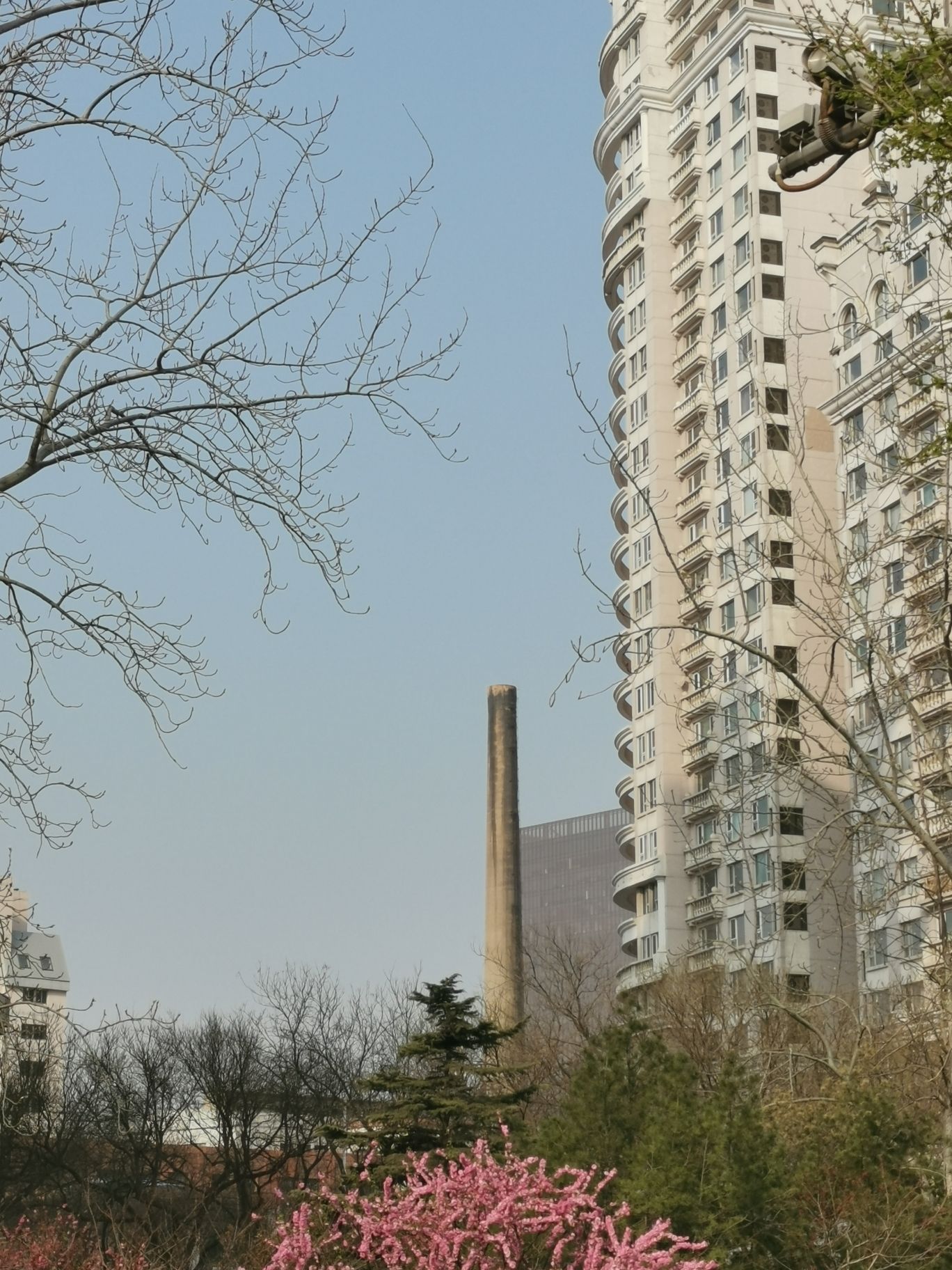 丽都花园旅行图片 1