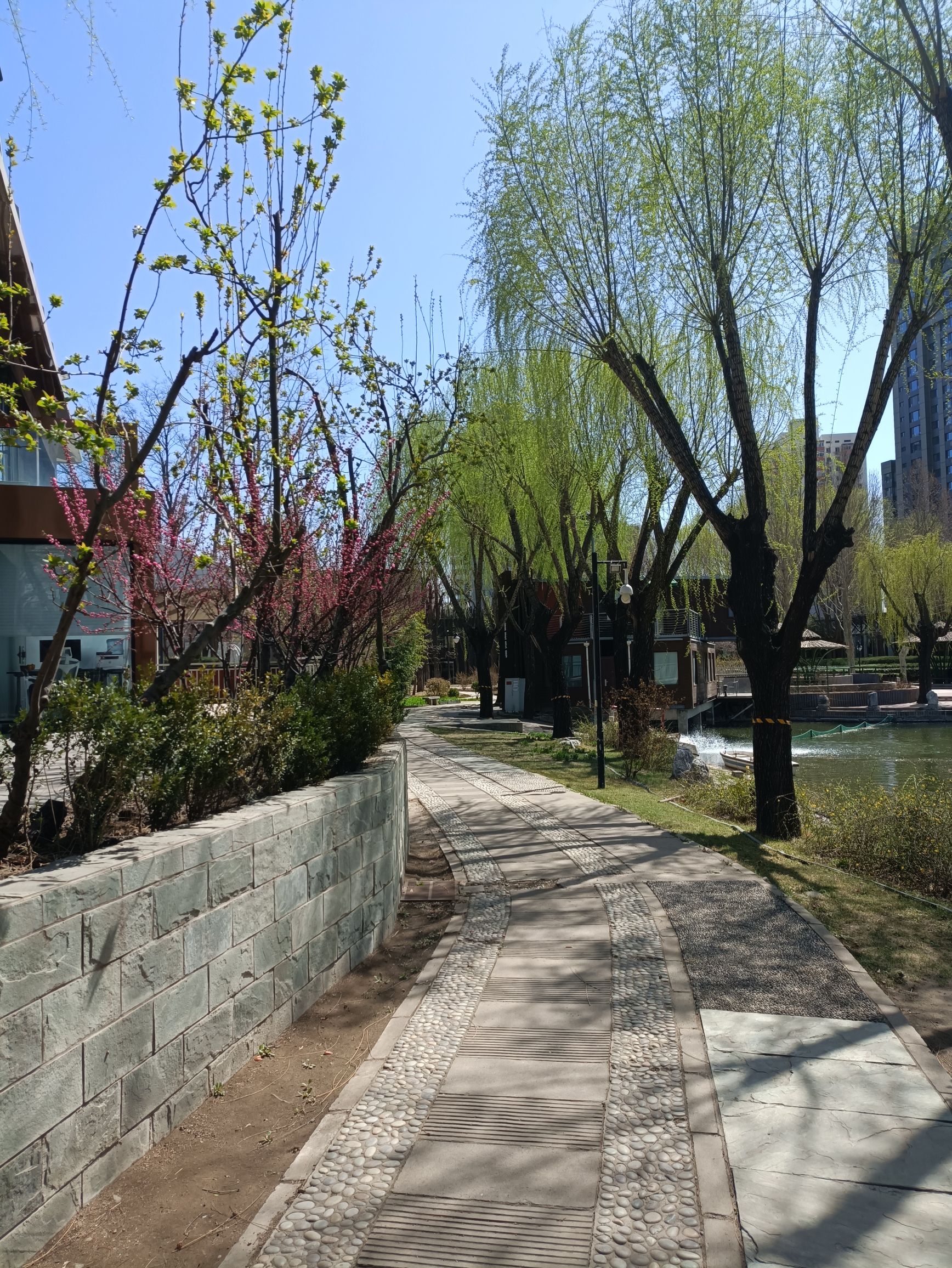 丽都花园旅行图片 2