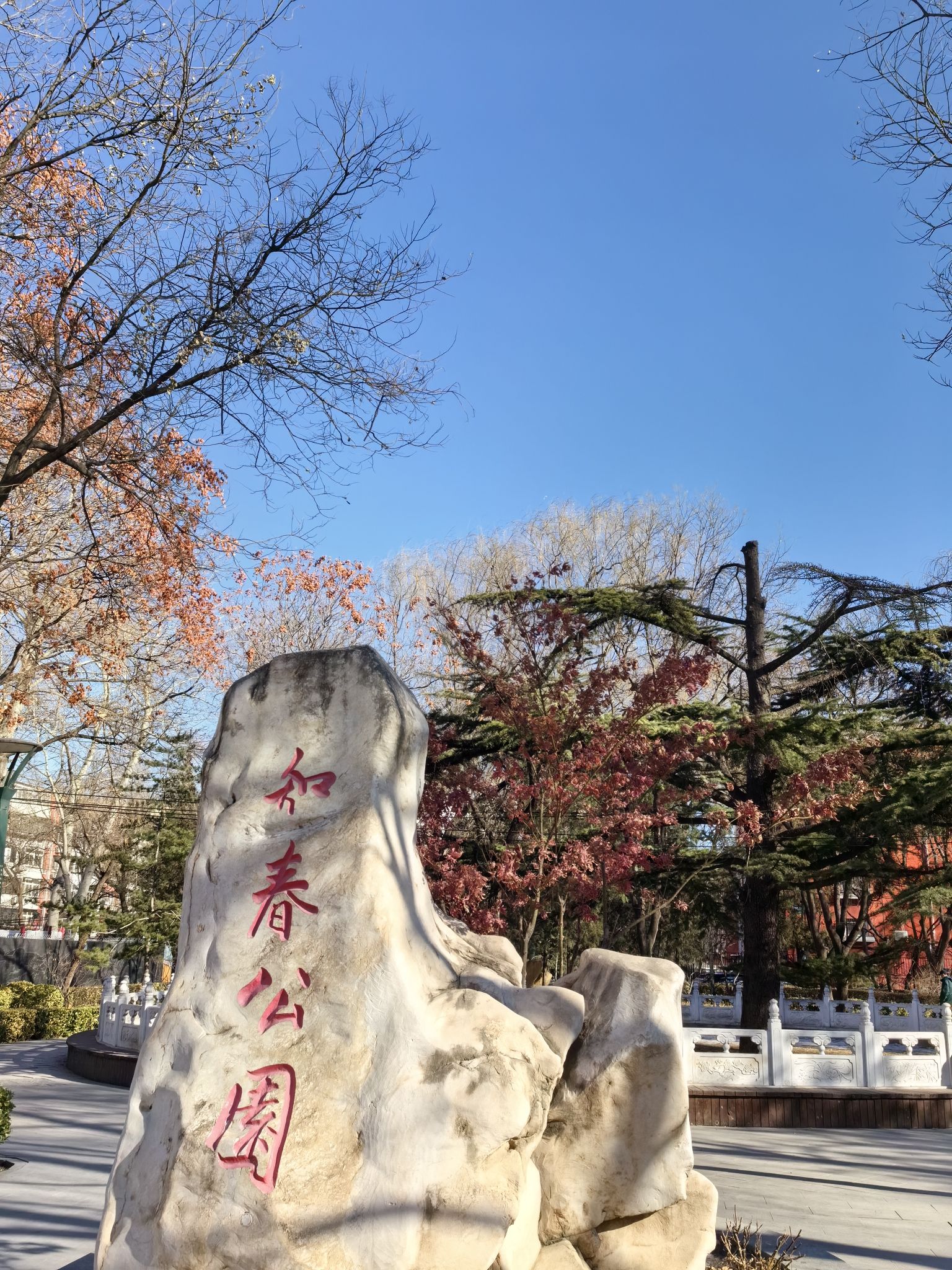 知春公园旅行图片 1