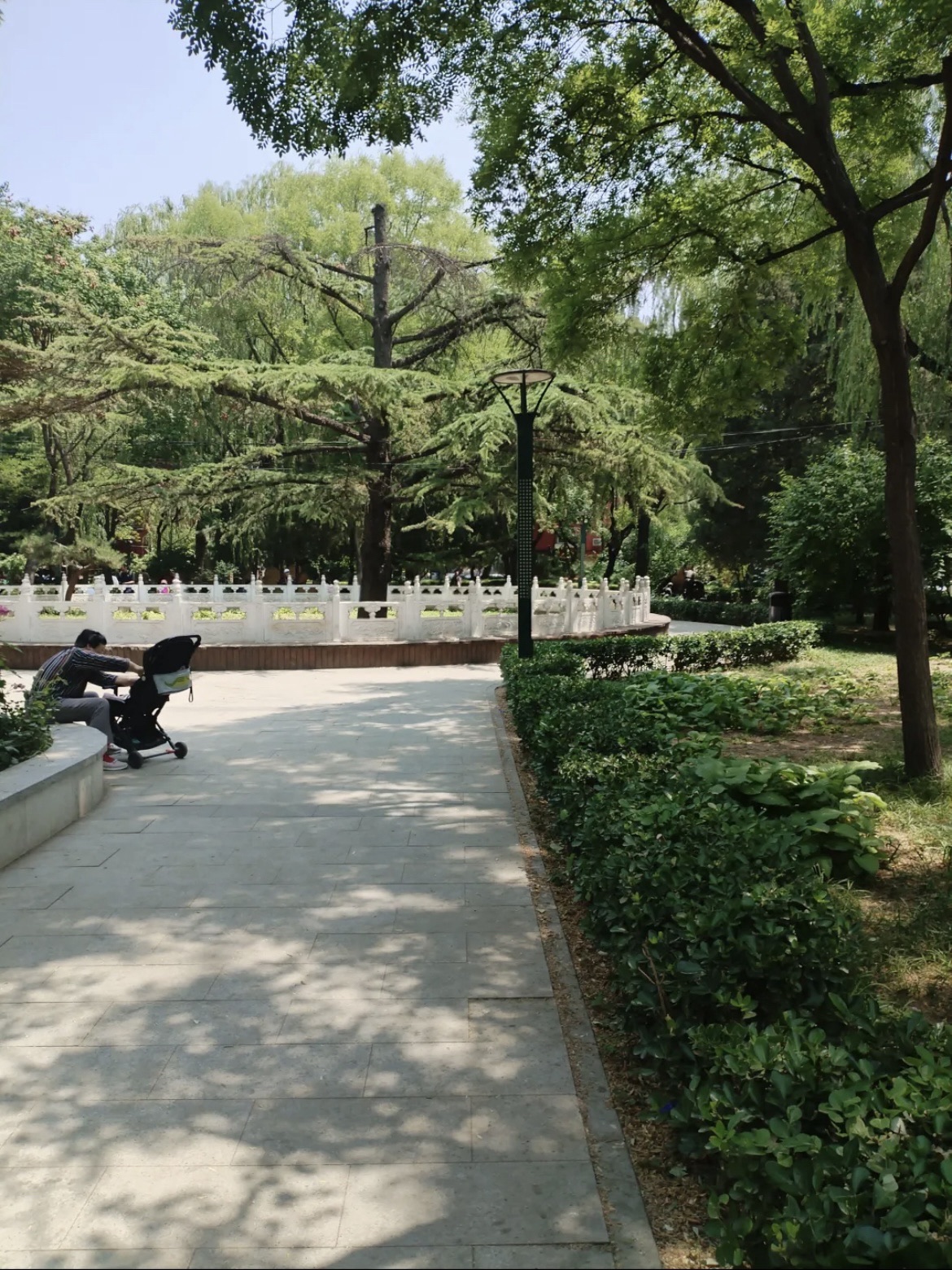 知春公园旅行图片 2