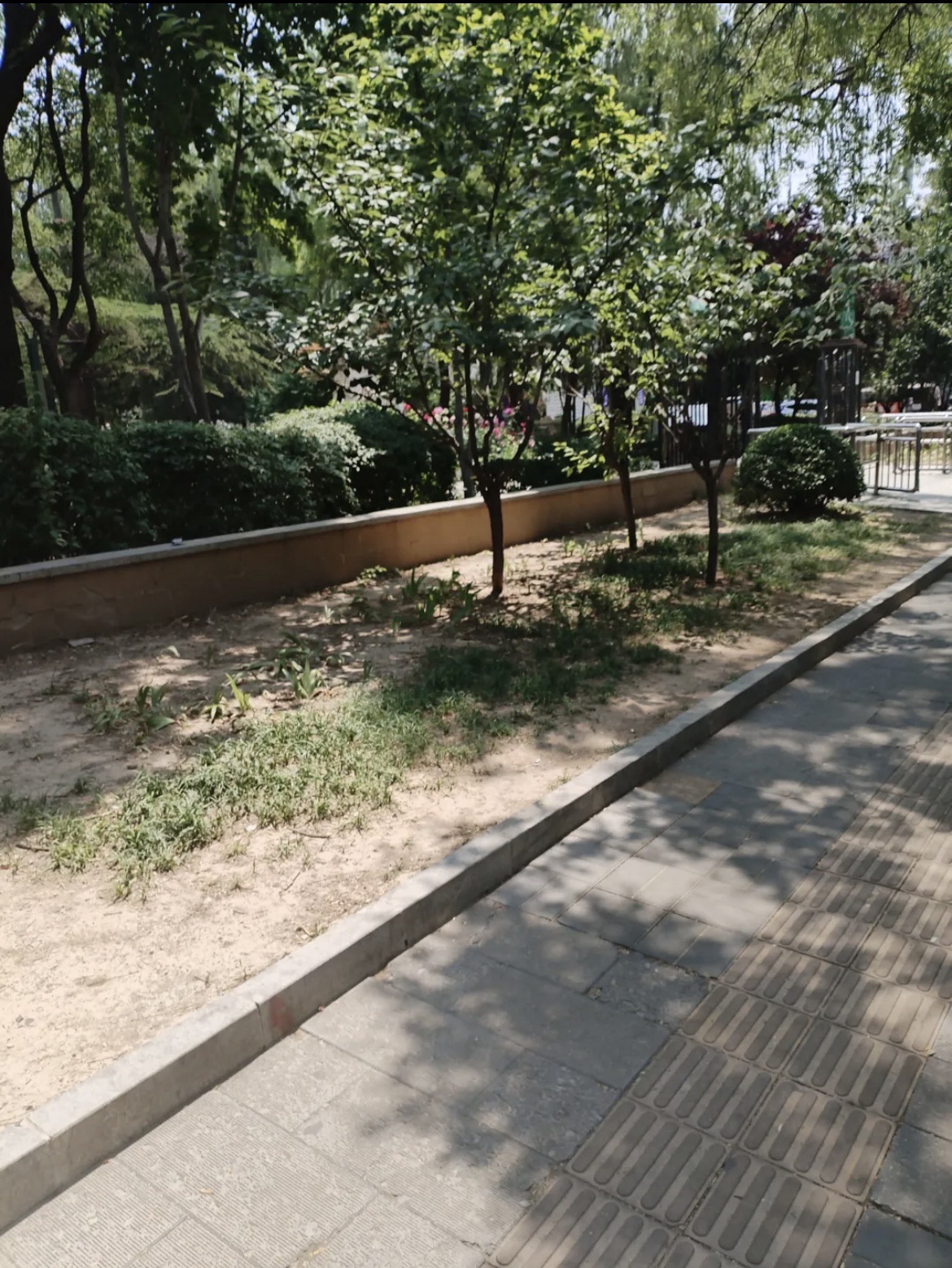 知春公园旅行图片 3