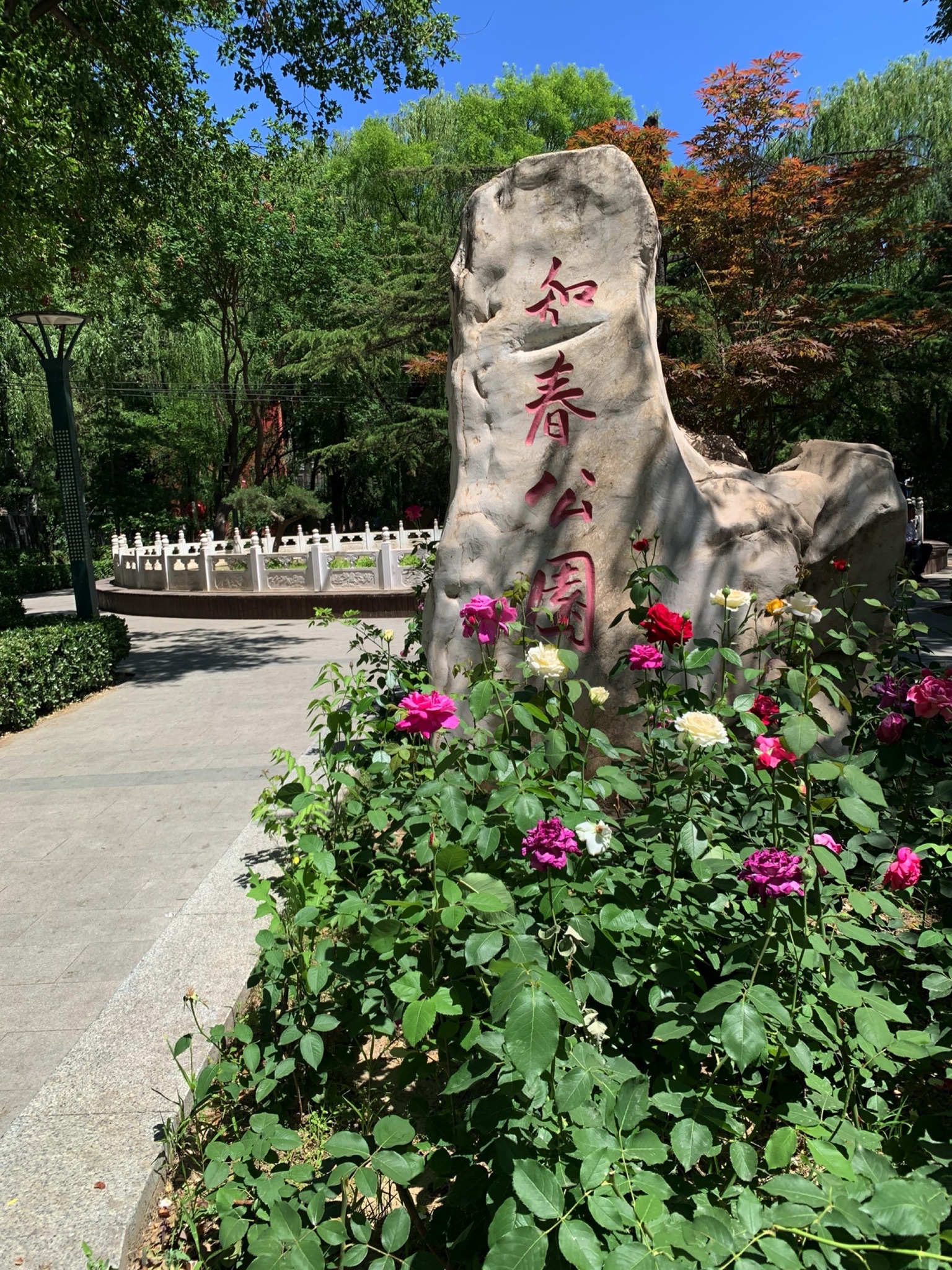 知春公园旅行图片 1