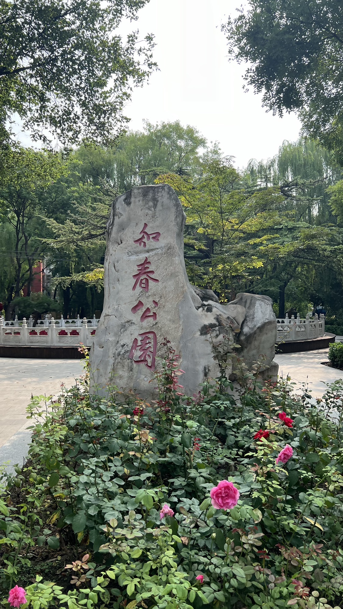 知春公园旅行图片 1