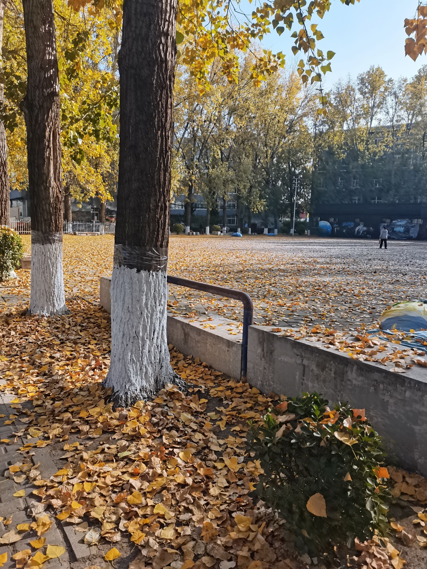 北京科技职业学院