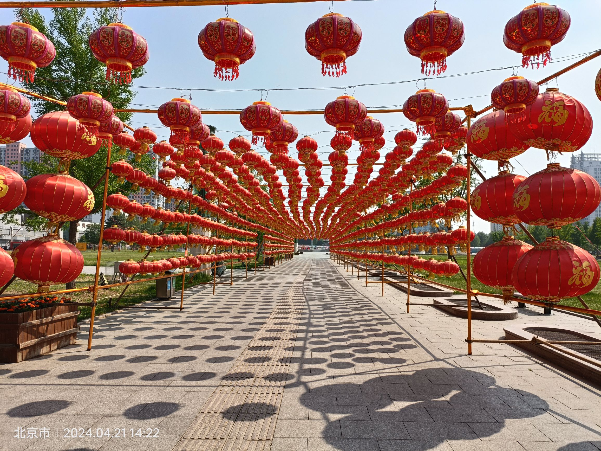 平谷世纪广场旅行图片 2
