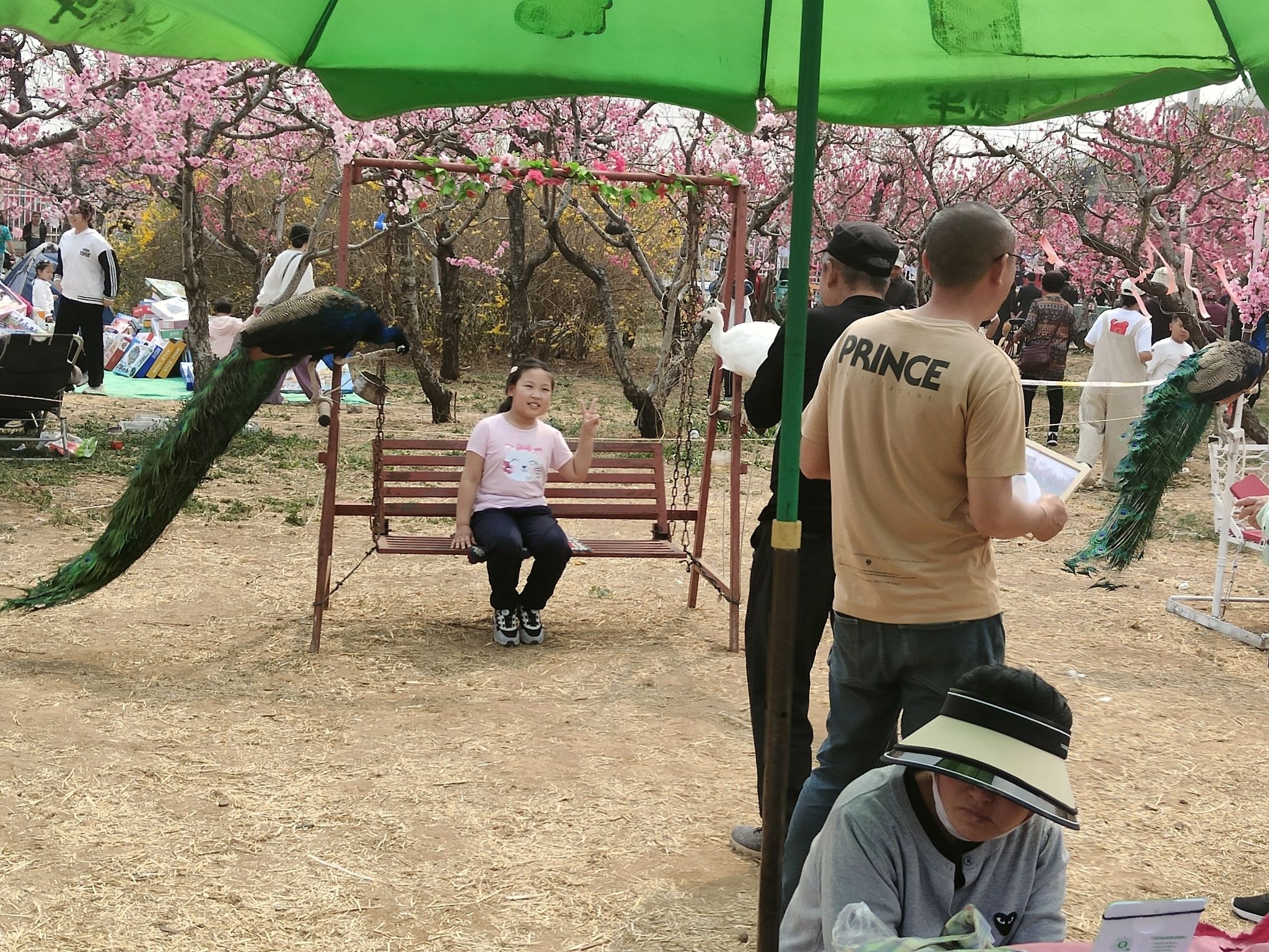 平谷世纪广场旅行图片 2