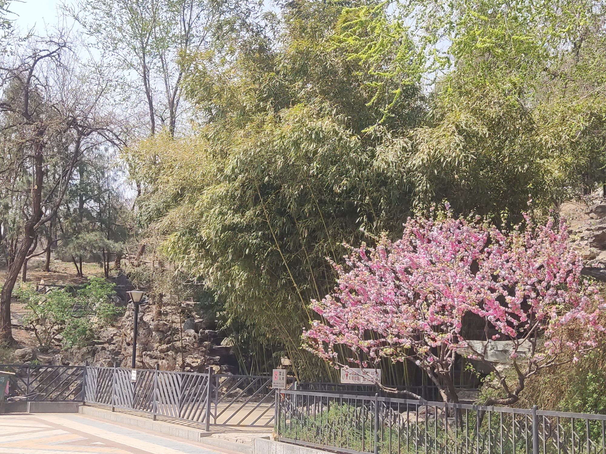 东单公园旅行图片 1