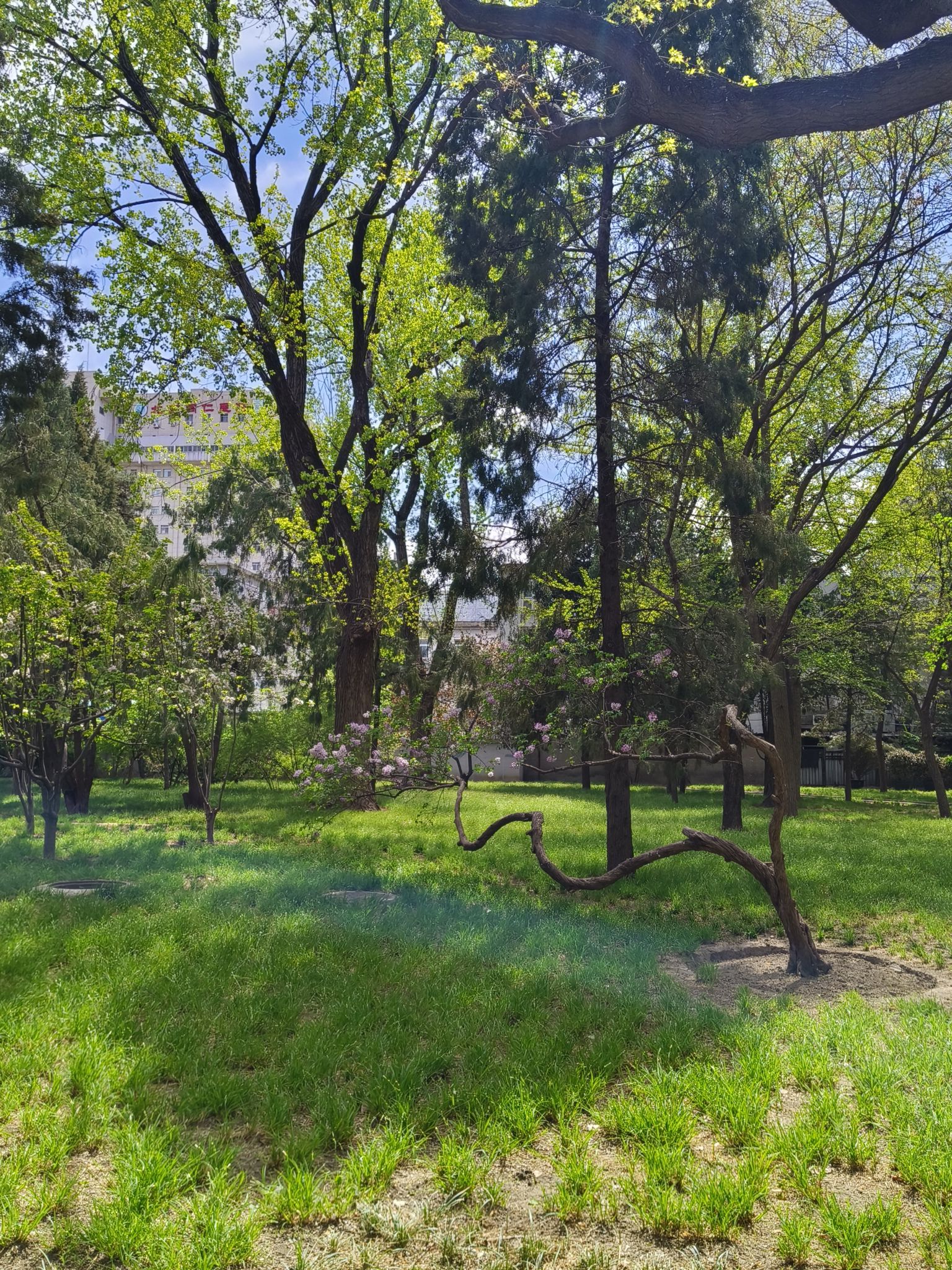 东单公园旅行图片 3