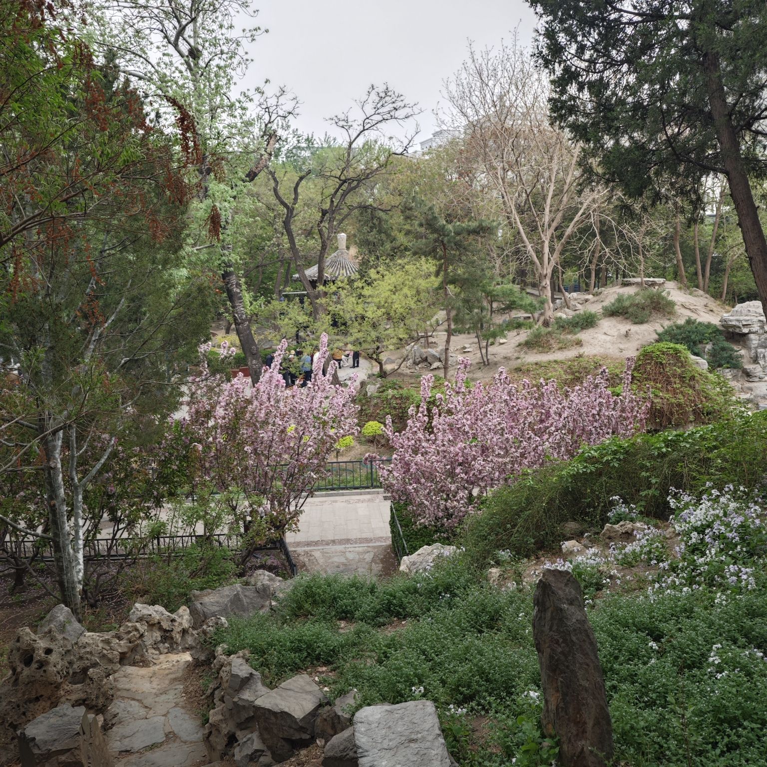 东单公园旅行图片 2