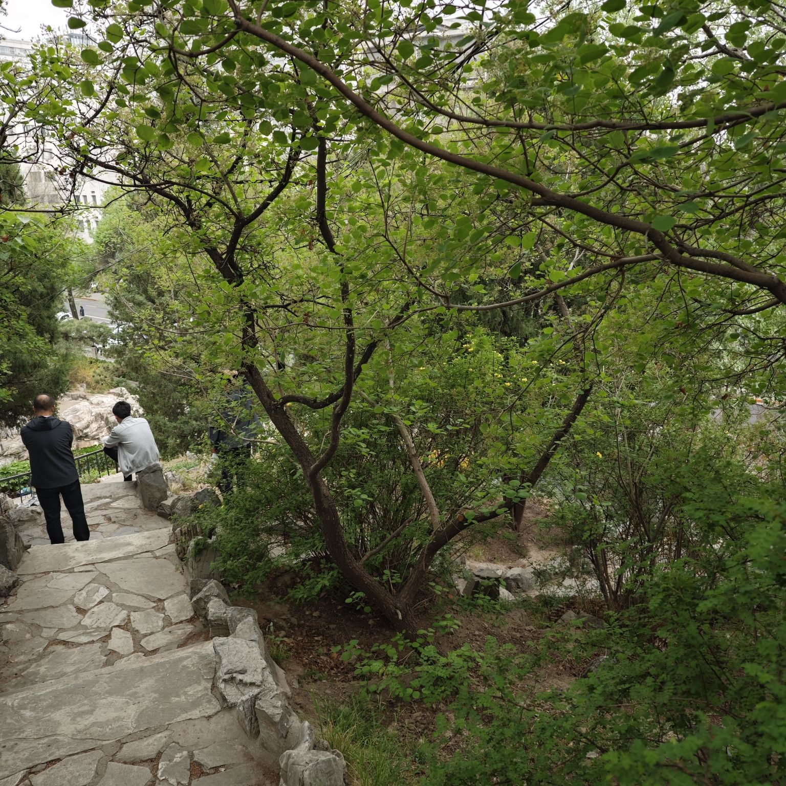 东单公园旅行图片 1