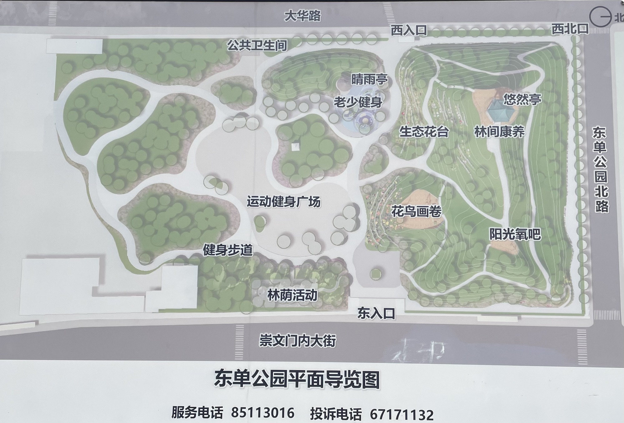 东单公园旅行图片 2