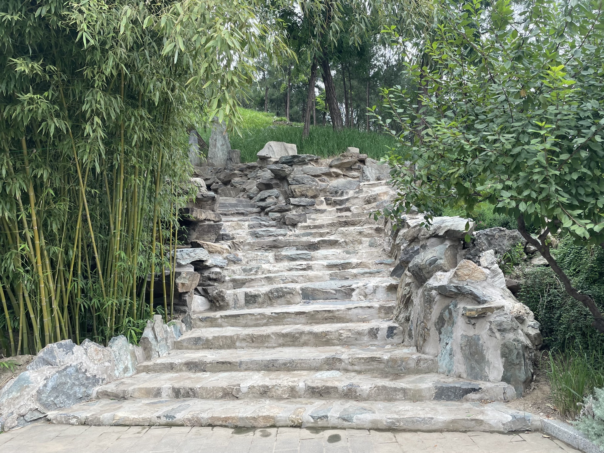 东单公园旅行图片 1