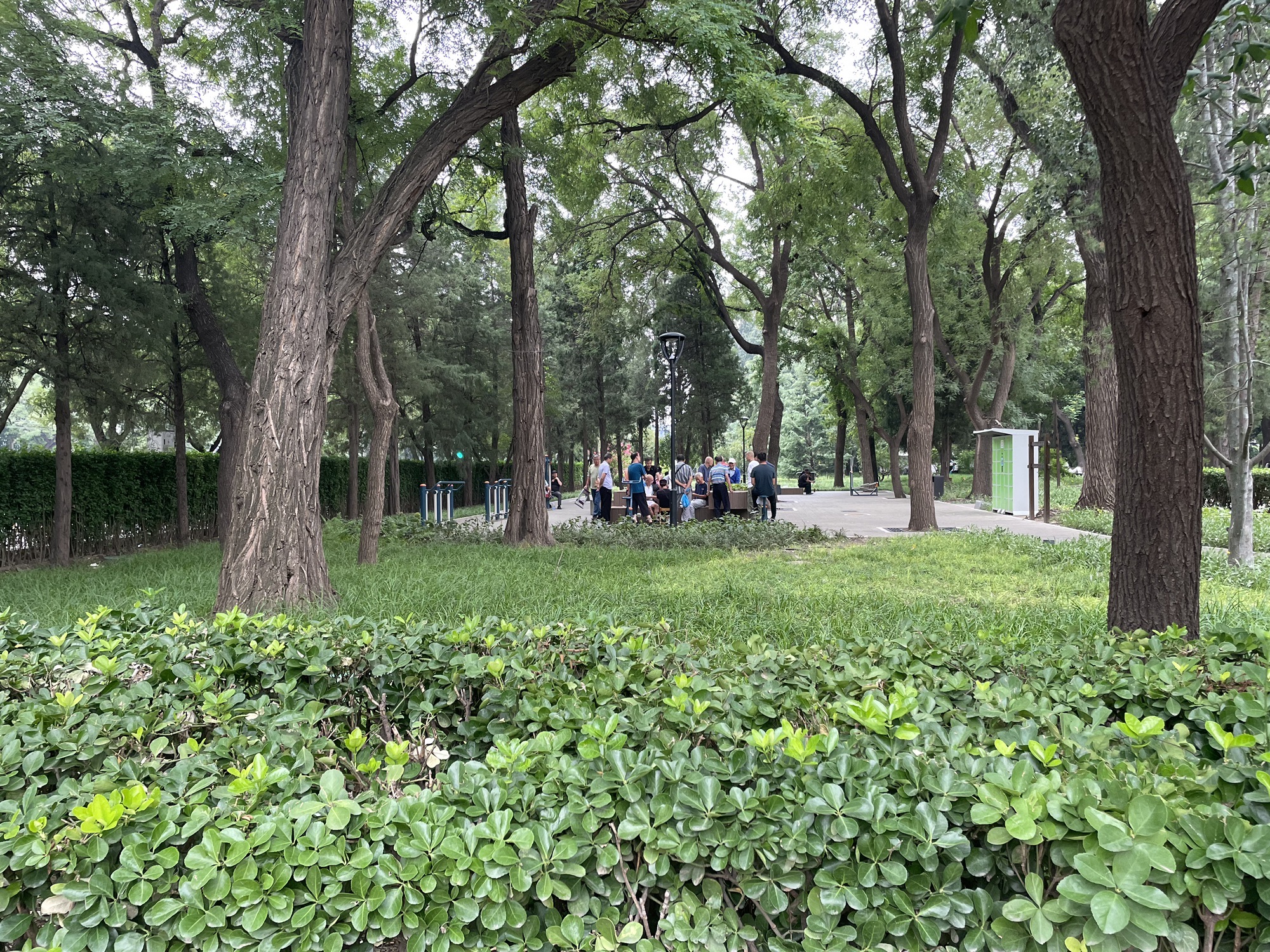 东单公园旅行图片 3