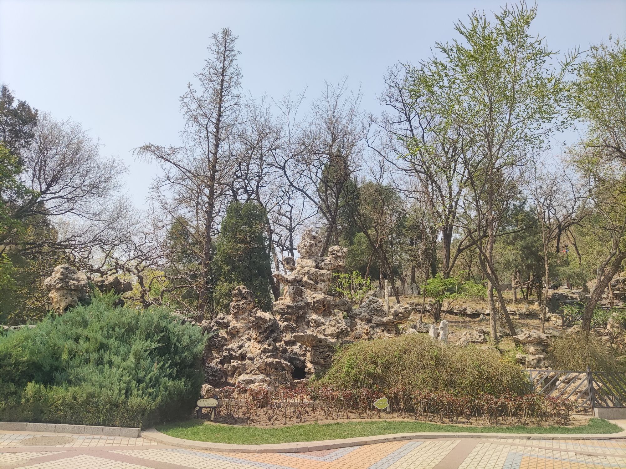 东单公园旅行图片 2