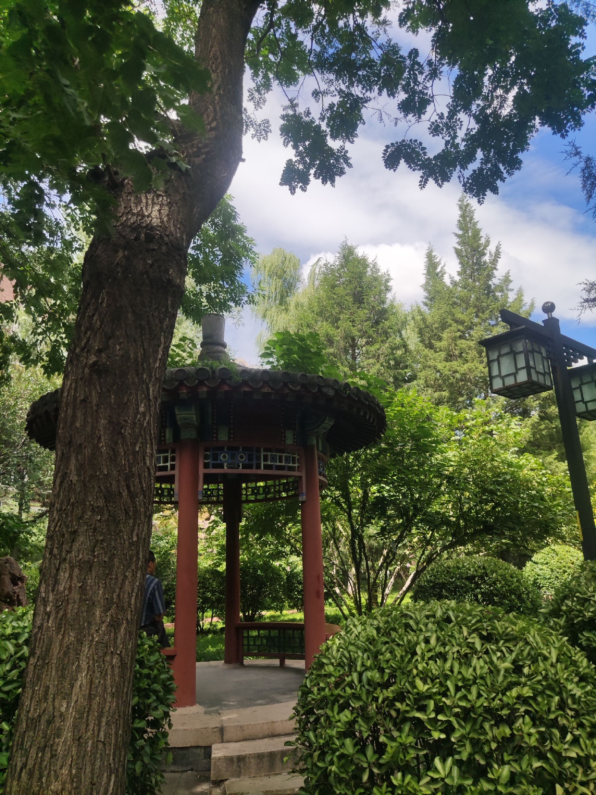 北滨河公园旅行图片 1