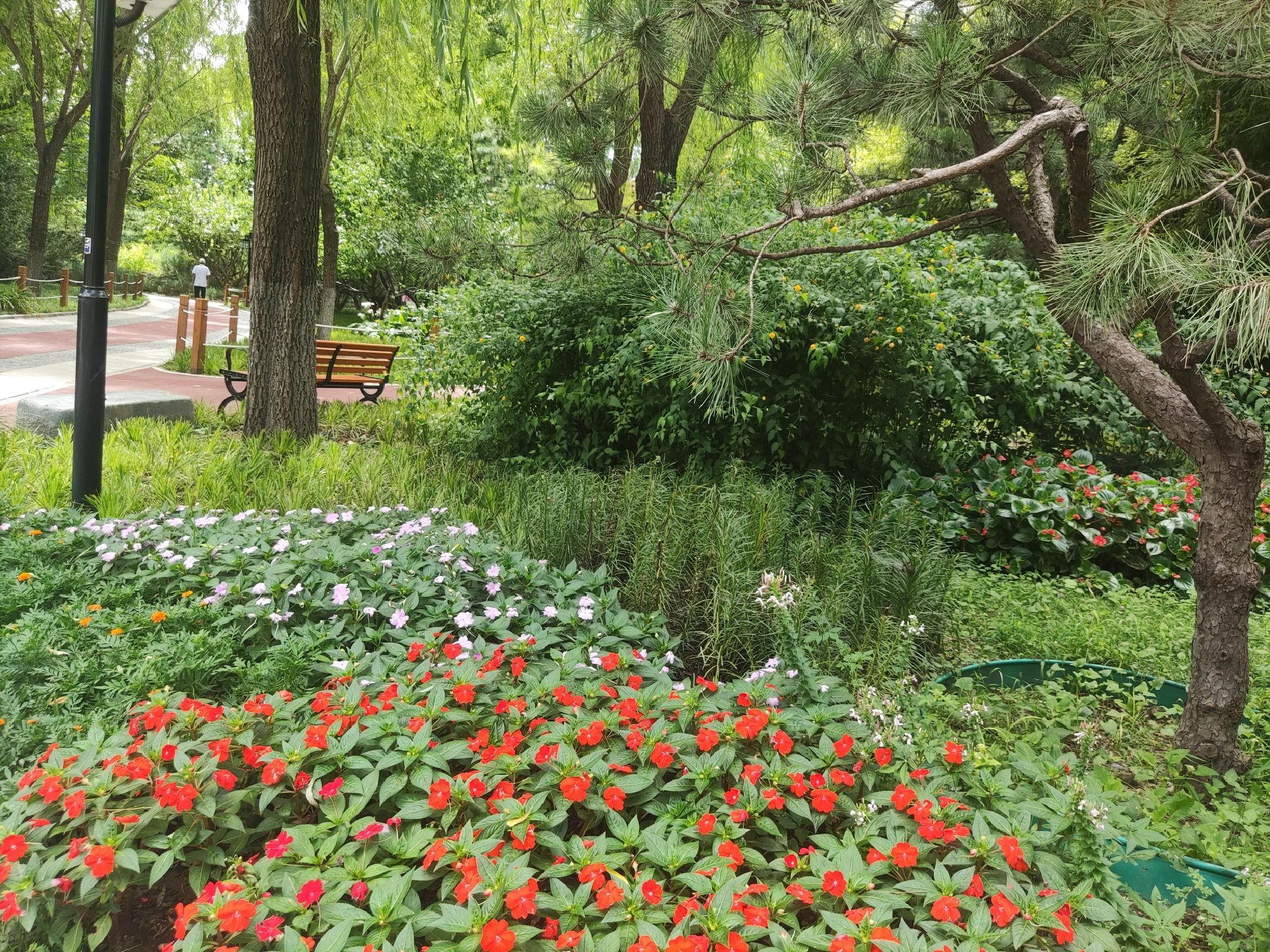 北滨河公园旅行图片 2