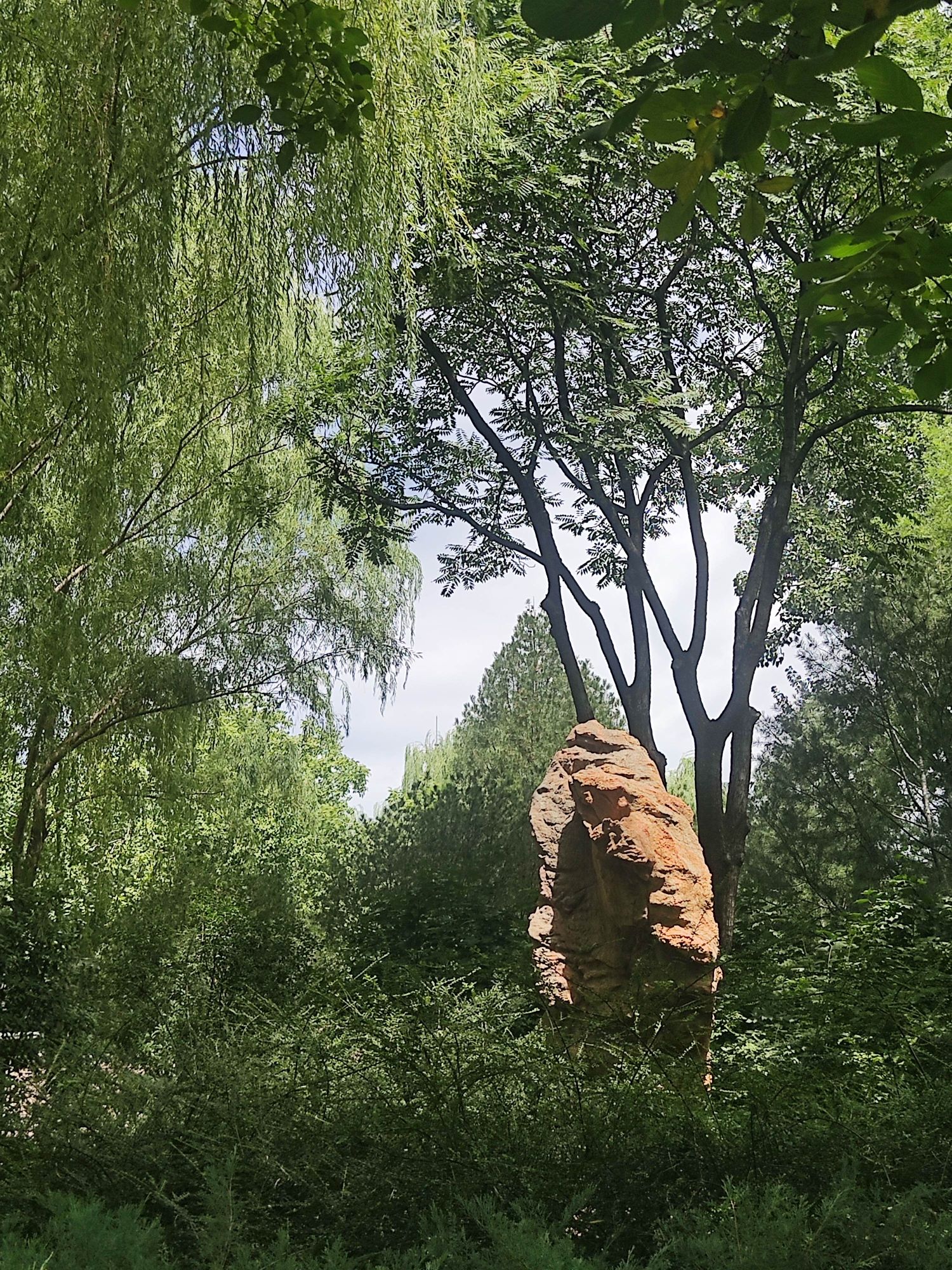 北滨河公园旅行图片 3