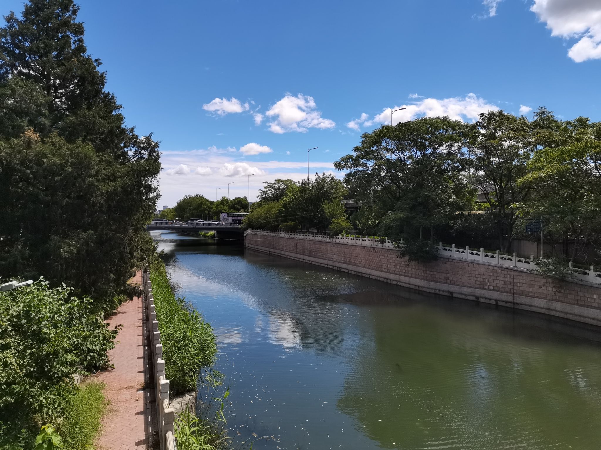北滨河公园旅行图片 1