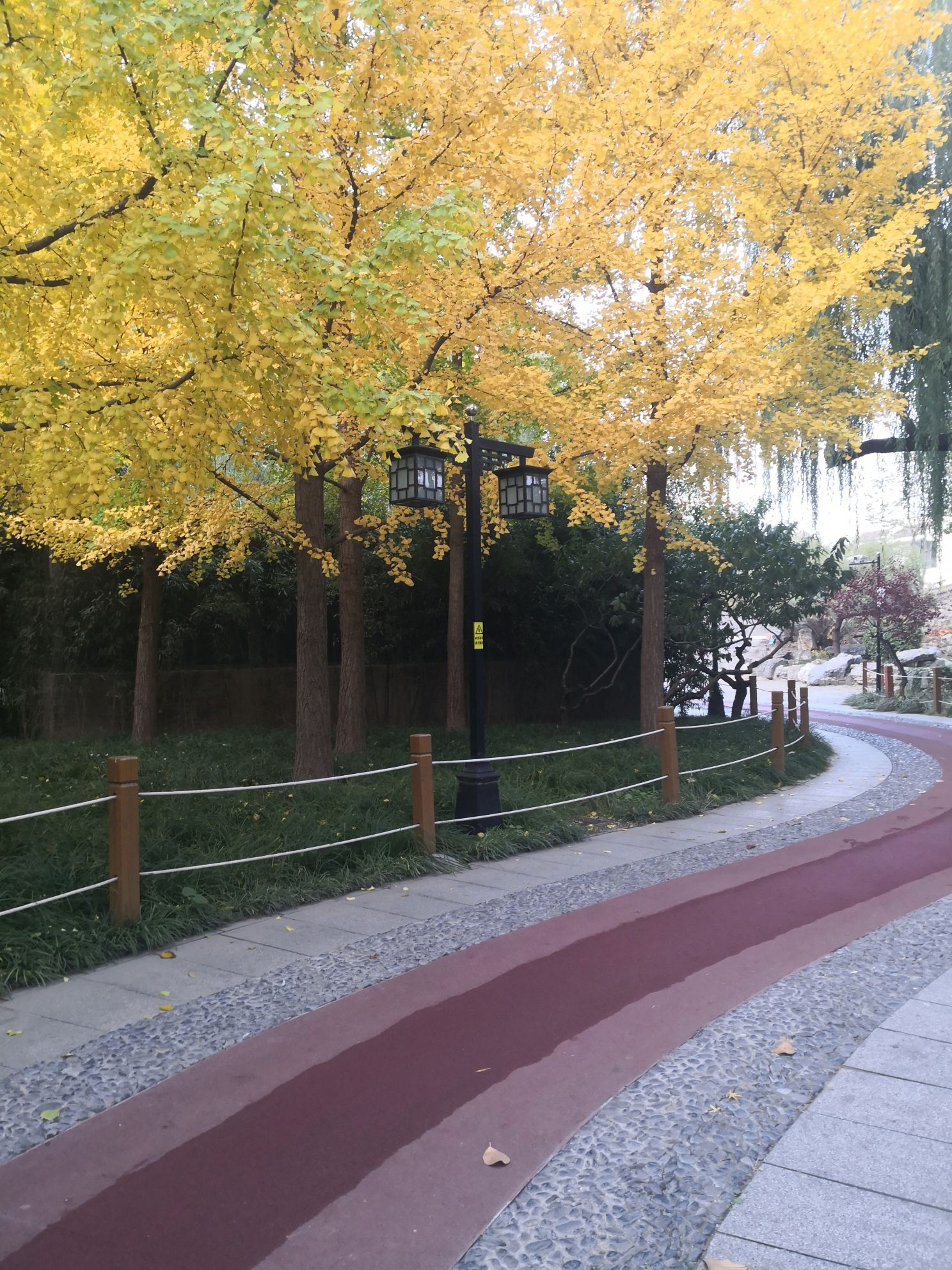 北滨河公园旅行图片 1