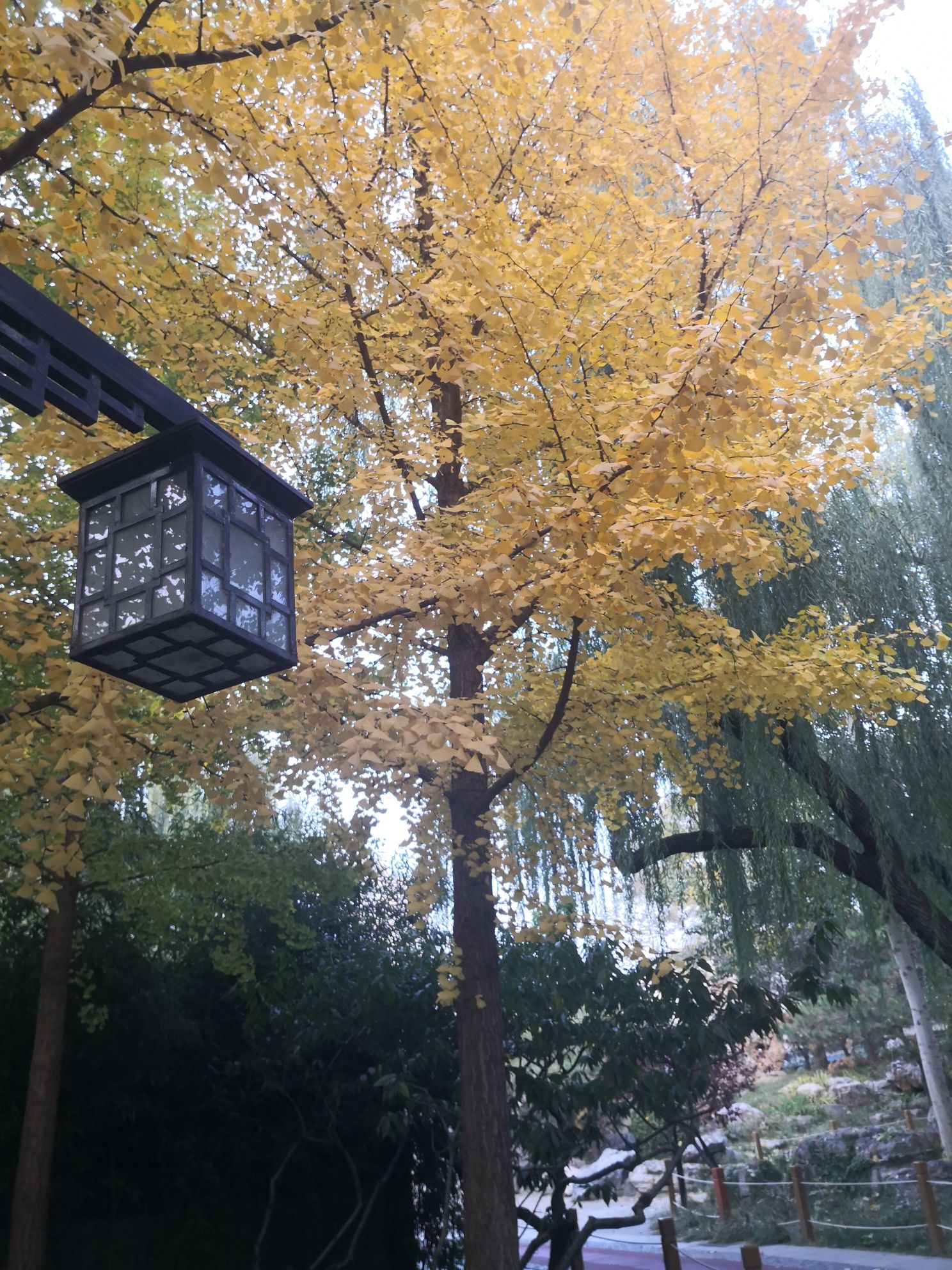 北滨河公园旅行图片 2