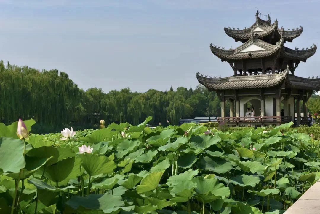 陶然亭公园旅行图片 2