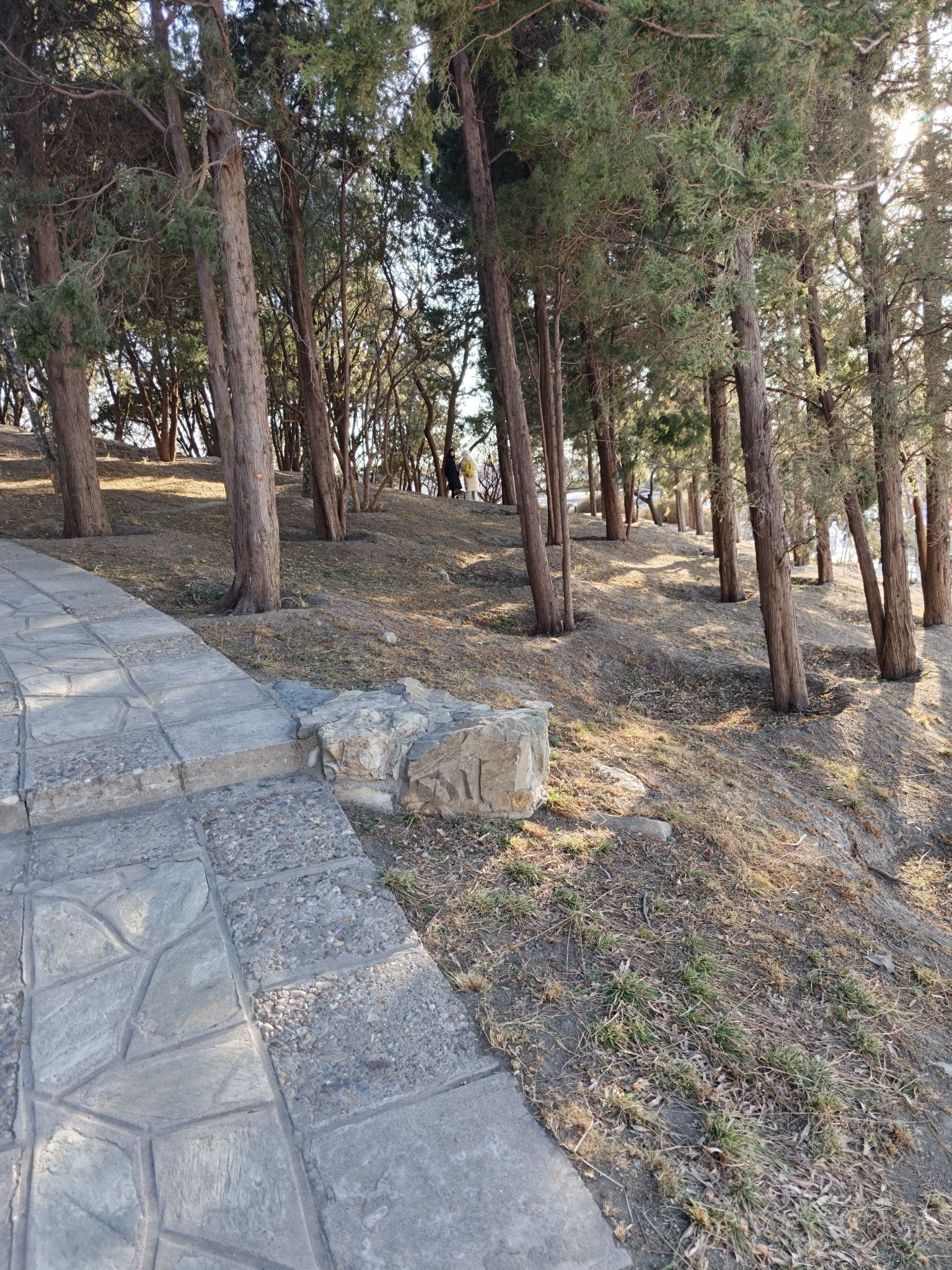 陶然亭公园旅行图片 1