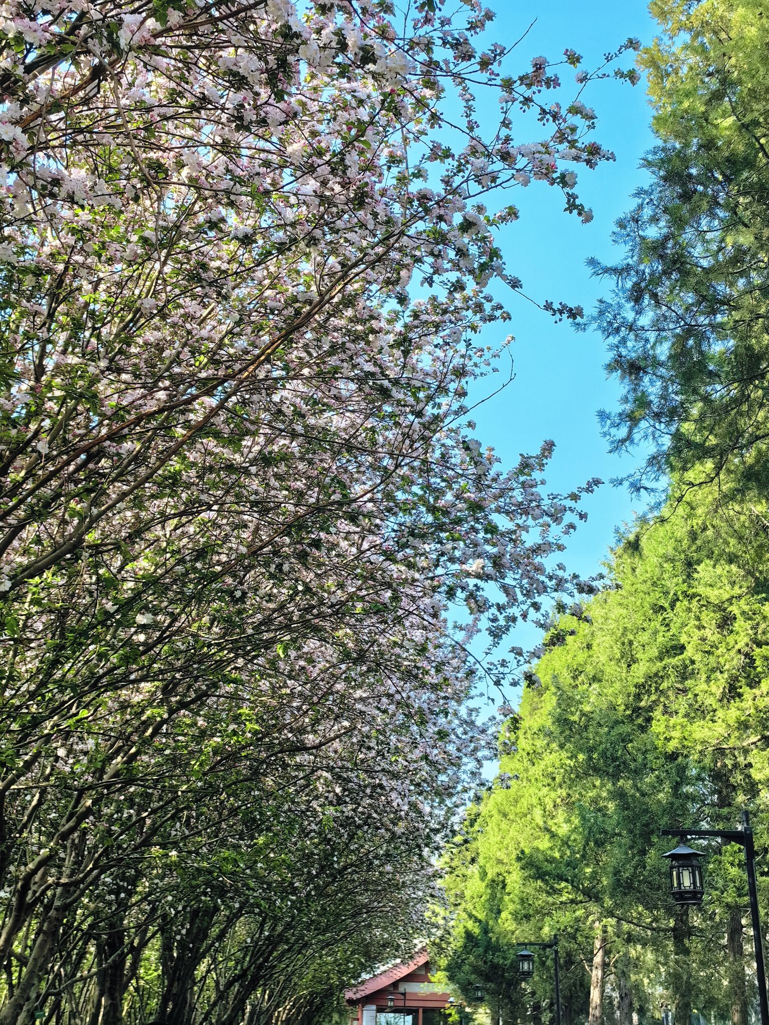 陶然亭公园旅行图片 3