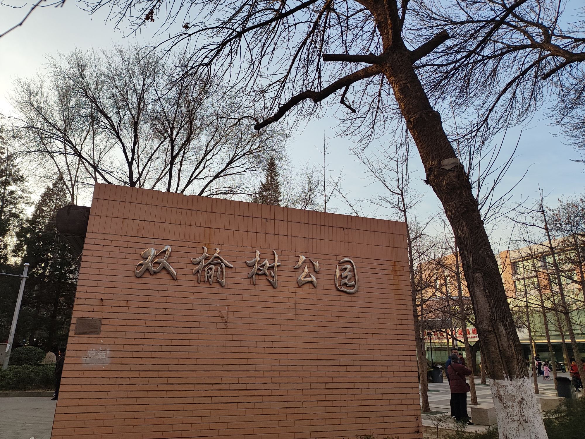 双榆树公园旅行图片 1